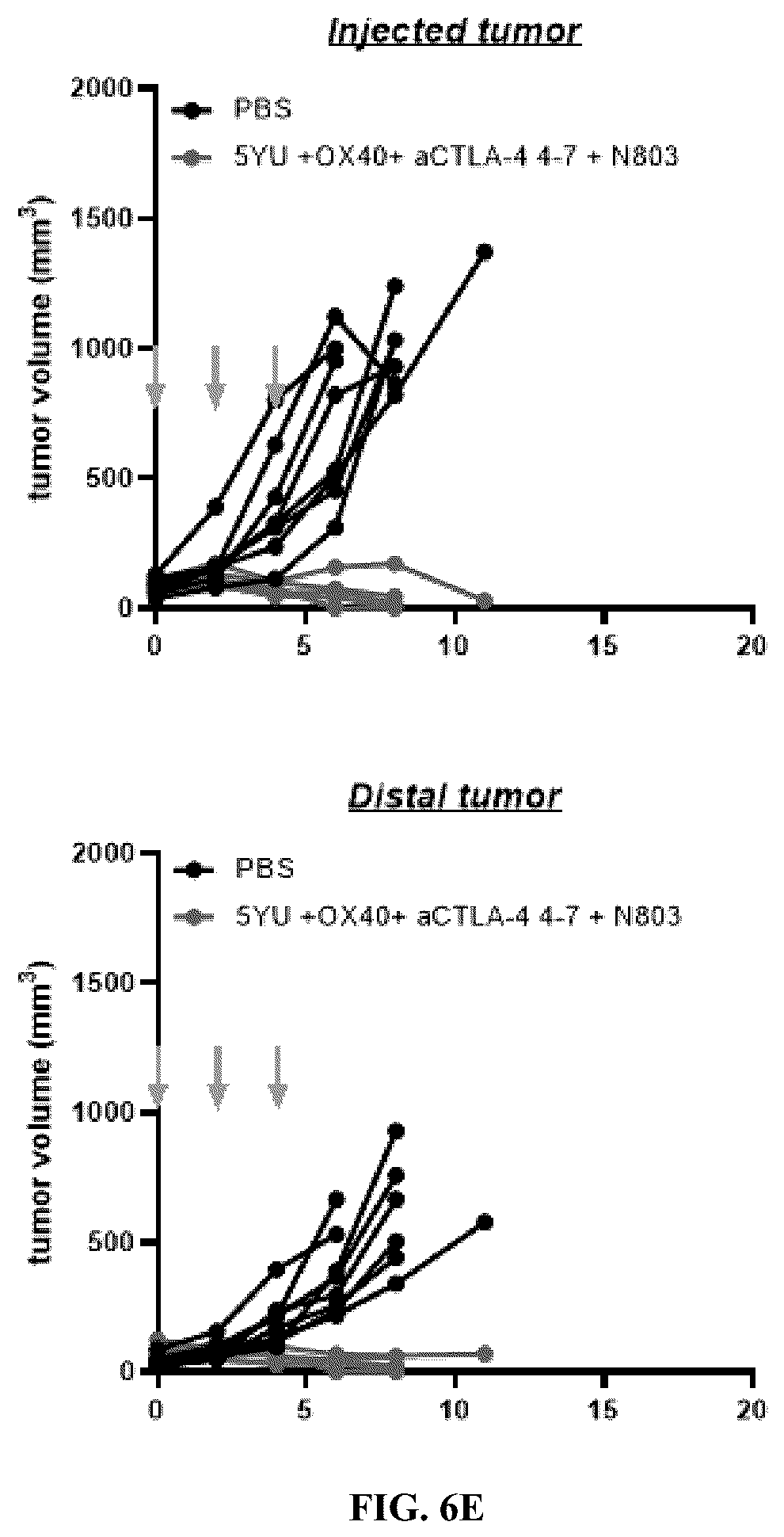 Patent US12297247 Figure 10 – Fusion molecules of CTLA4 and IL-15