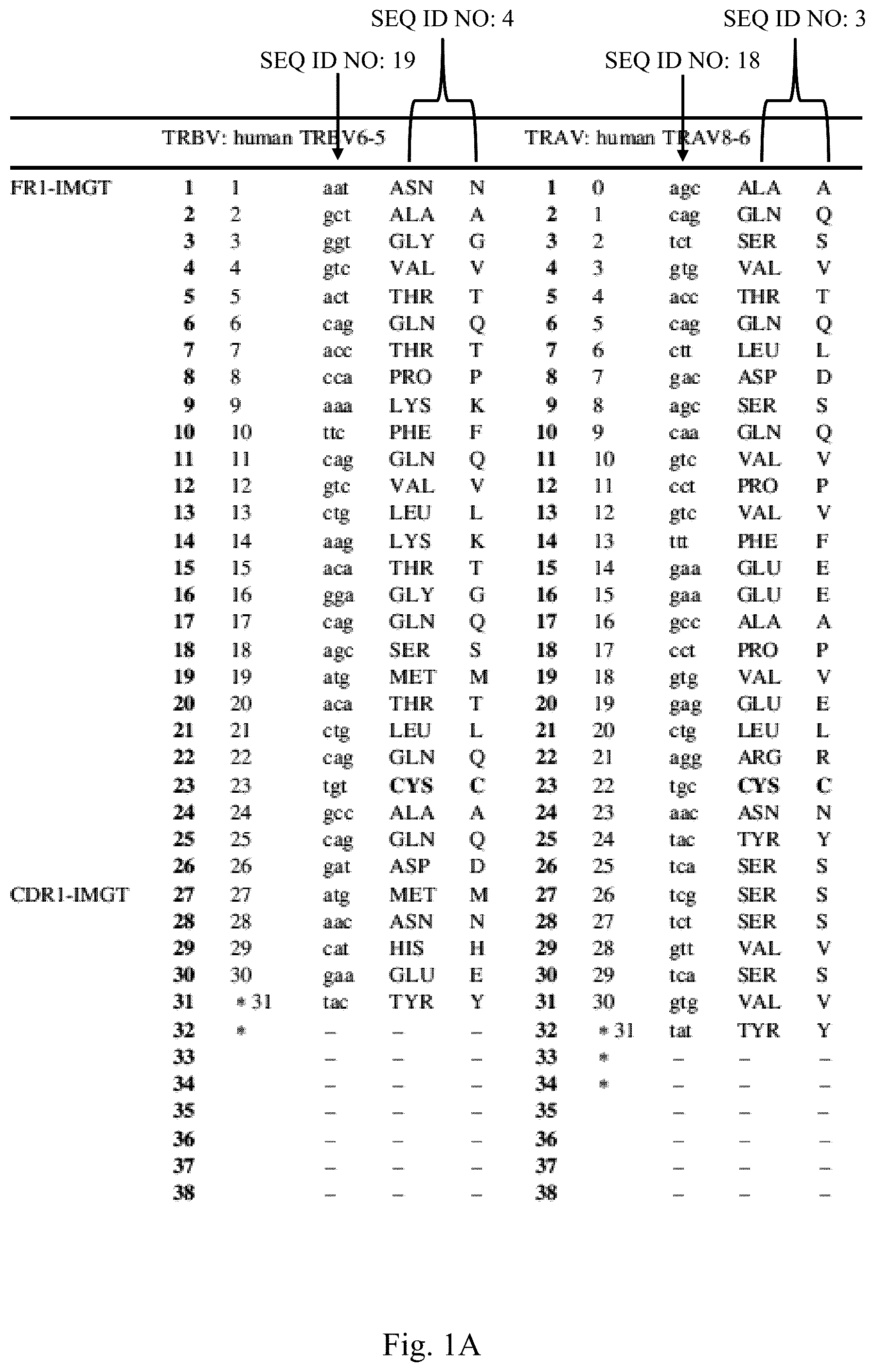 Patent US12297252 Figure 1 – T cell receptors with improved pairing