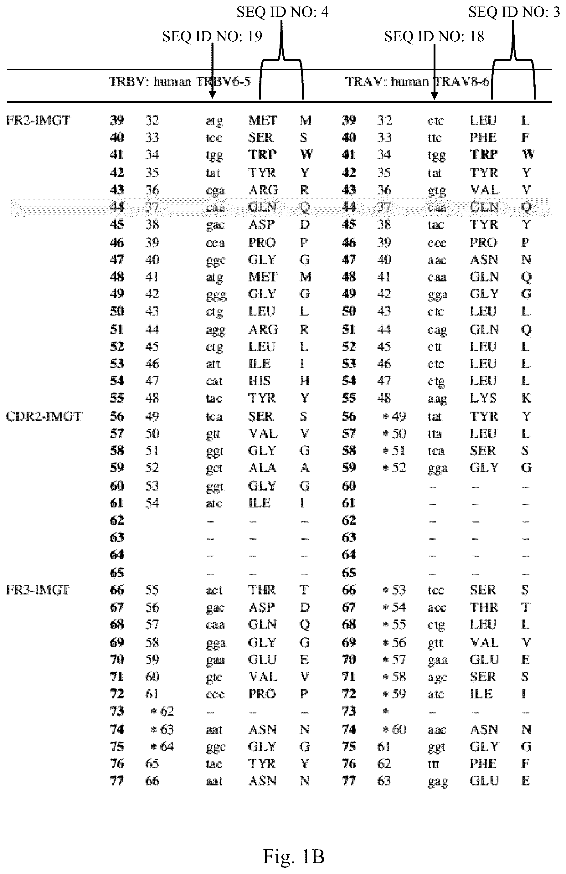 Patent US12297252 Figure 2 – T cell receptors with improved pairing