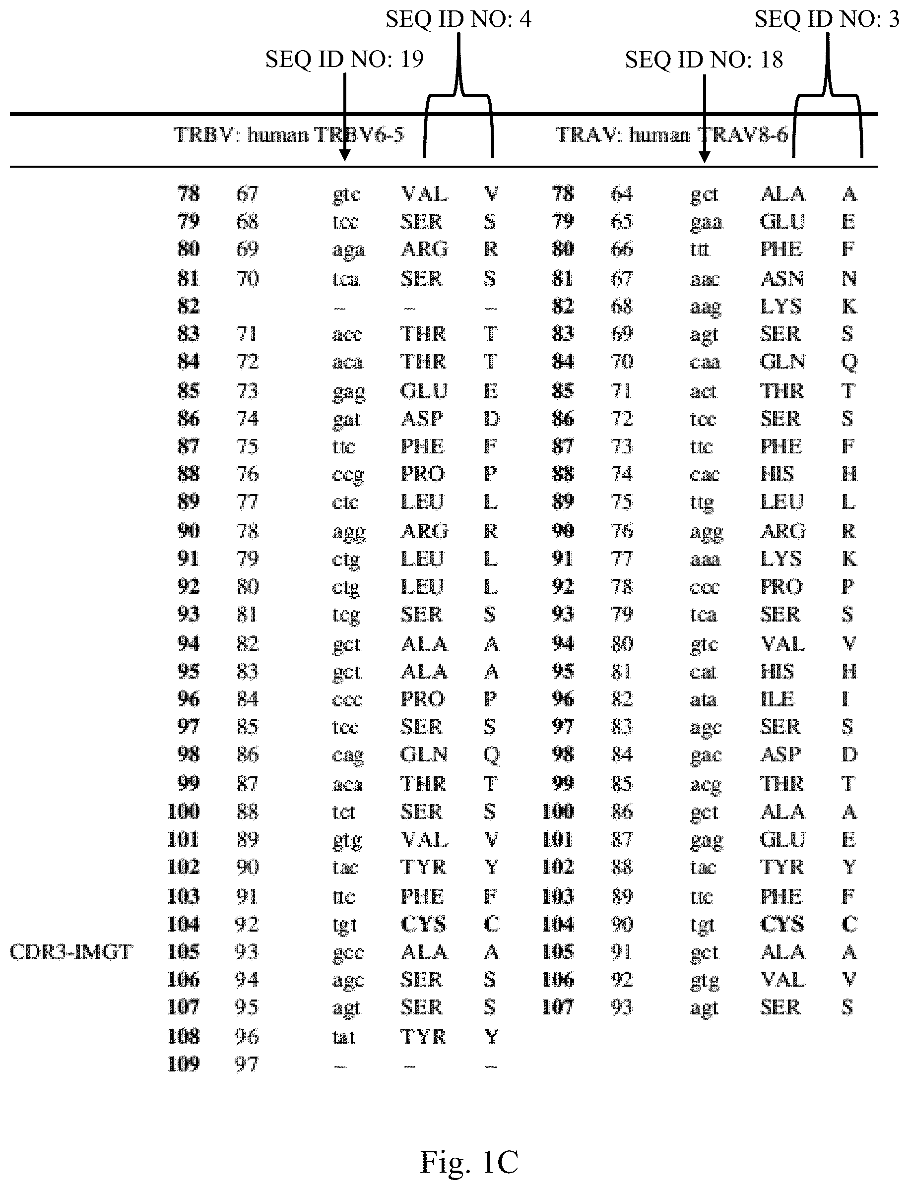 Patent US12297252 Figure 3 – T cell receptors with improved pairing