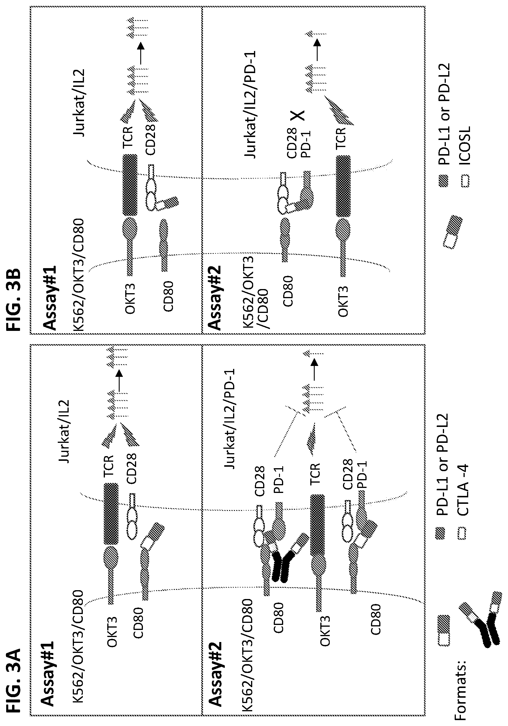 Patent US12297253 Figure 3 – Multi-domain immunomodulatory proteins and methods of use thereof