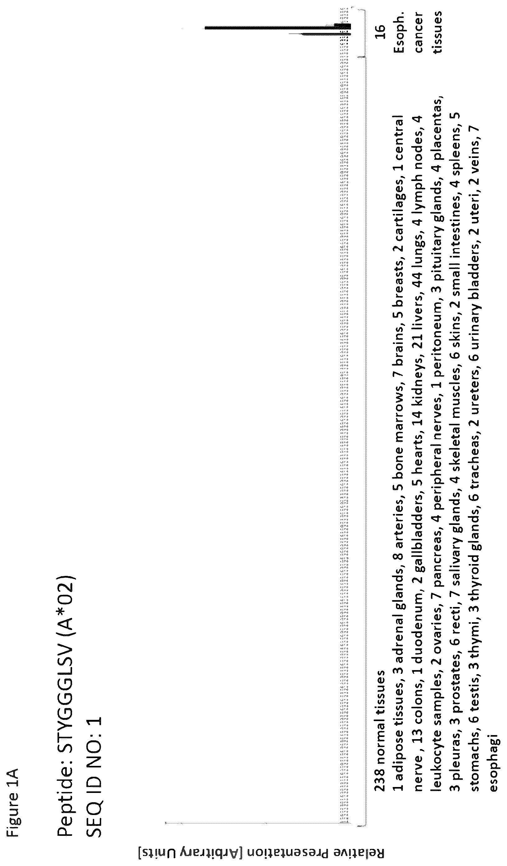 Patent US12297254 Figure 1 – Peptides and combination of peptides for use in immunotherapy against esophageal cancer and other cancers
