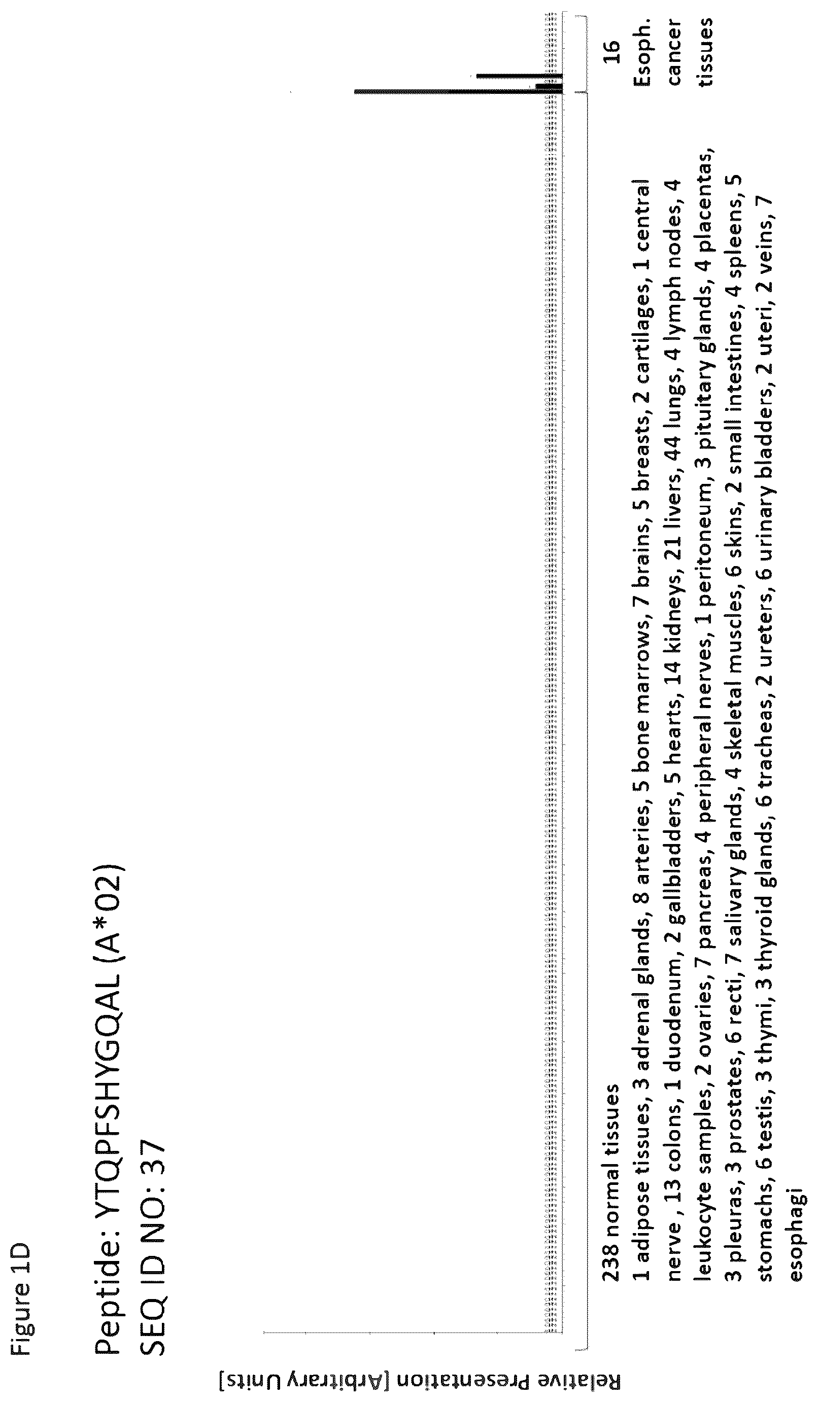 Patent US12297254 Figure 4 – Peptides and combination of peptides for use in immunotherapy against esophageal cancer and other cancers