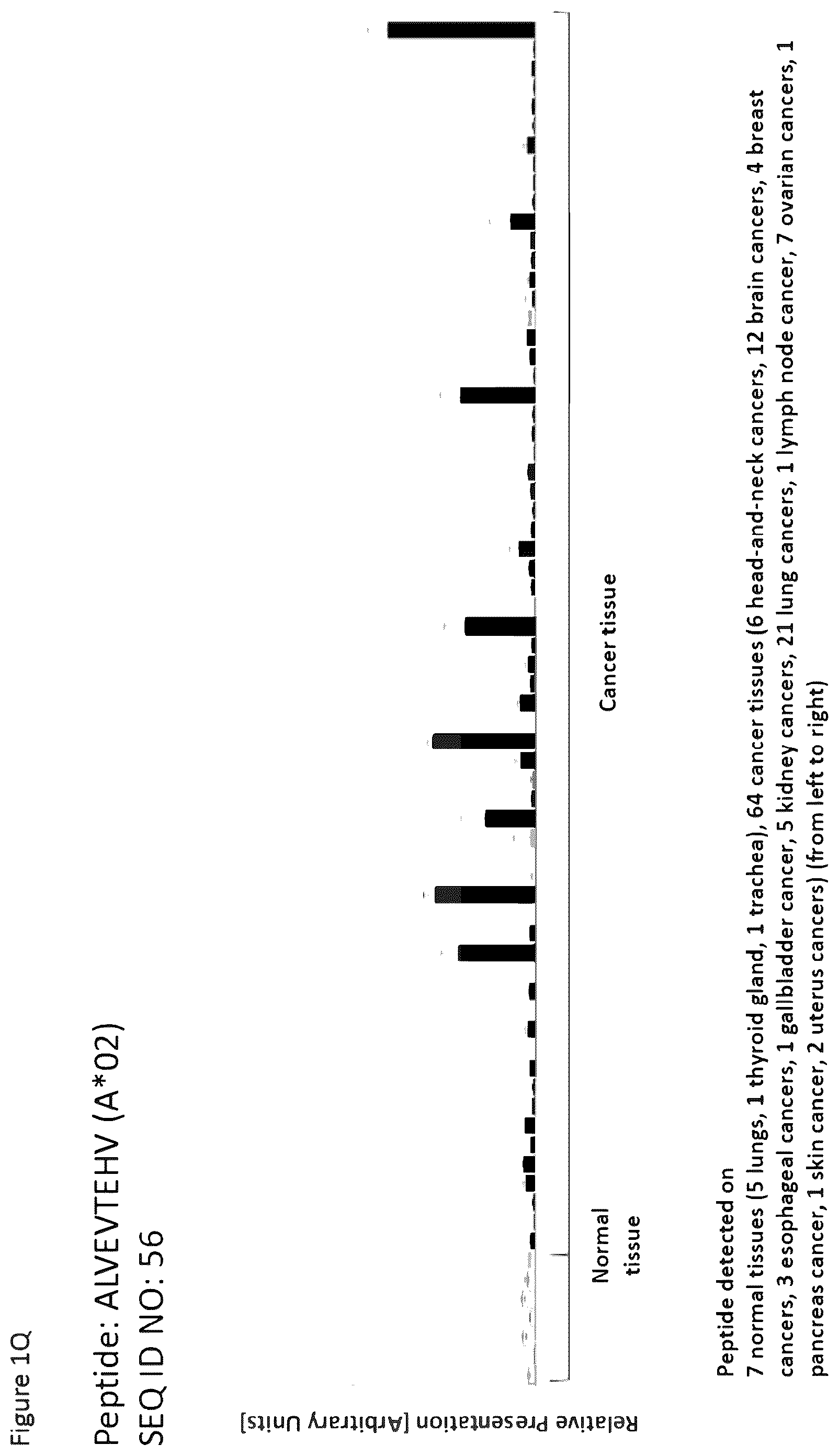 Patent US12297254 Figure 17 – Peptides and combination of peptides for use in immunotherapy against esophageal cancer and other cancers