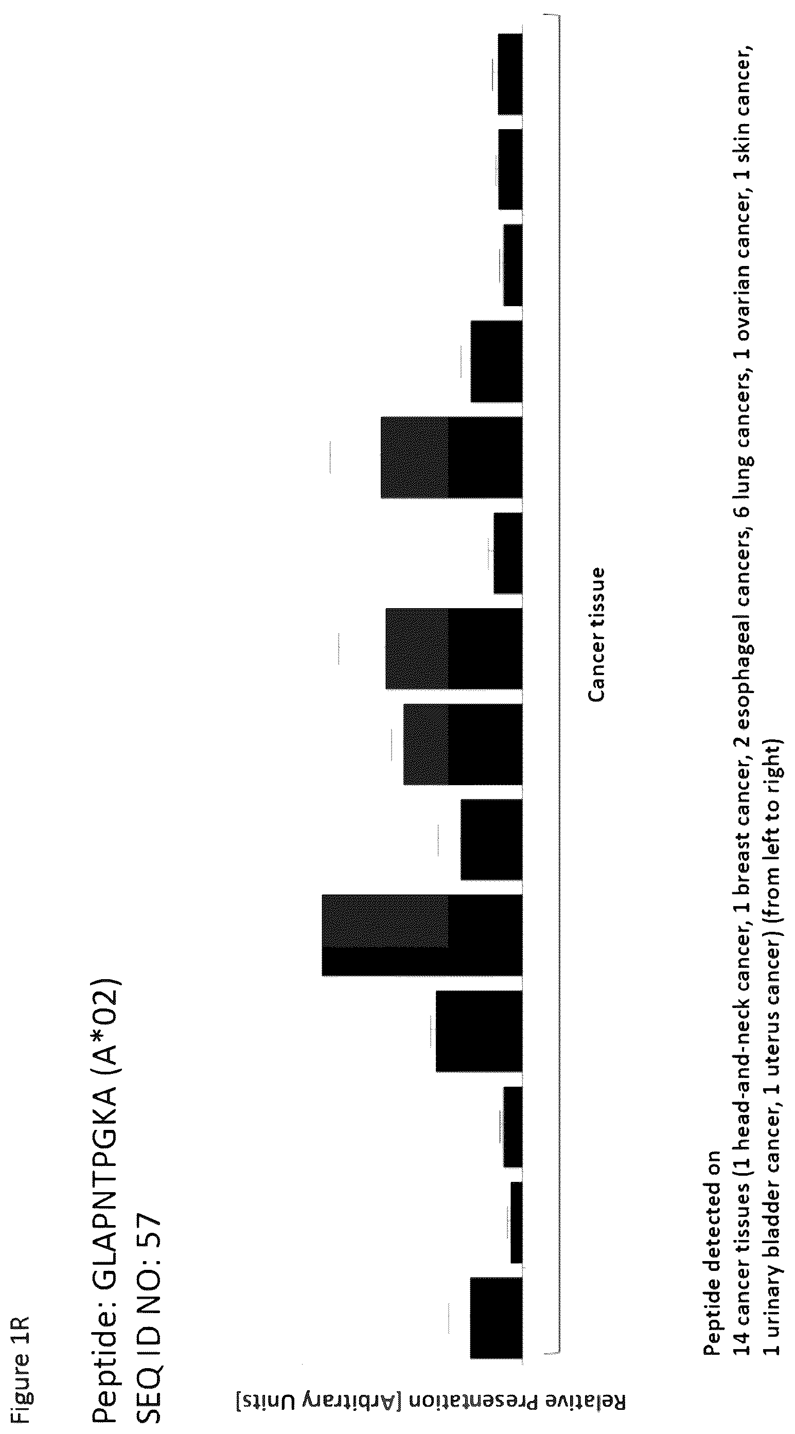 Patent US12297254 Figure 18 – Peptides and combination of peptides for use in immunotherapy against esophageal cancer and other cancers
