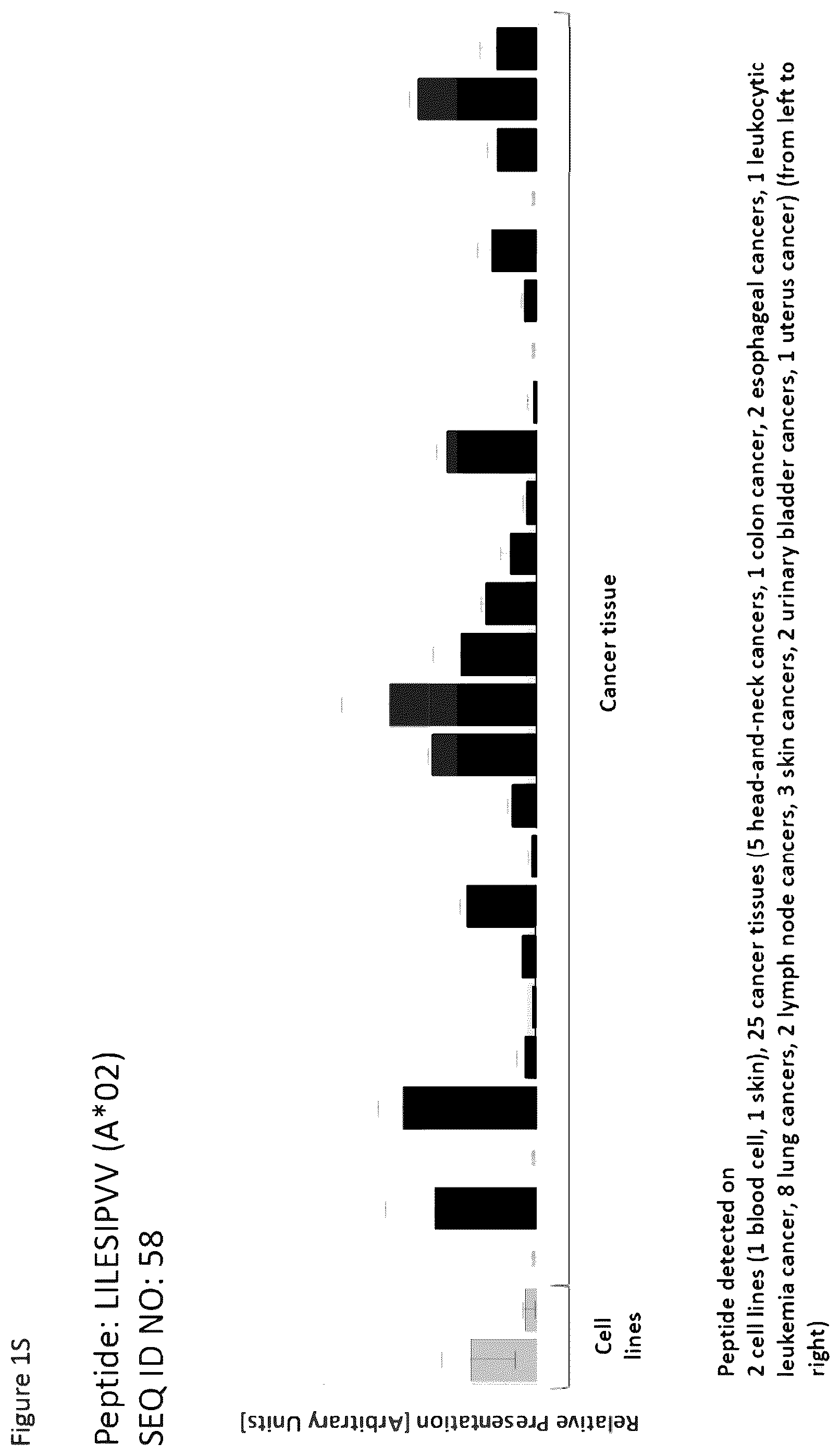Patent US12297254 Figure 19 – Peptides and combination of peptides for use in immunotherapy against esophageal cancer and other cancers