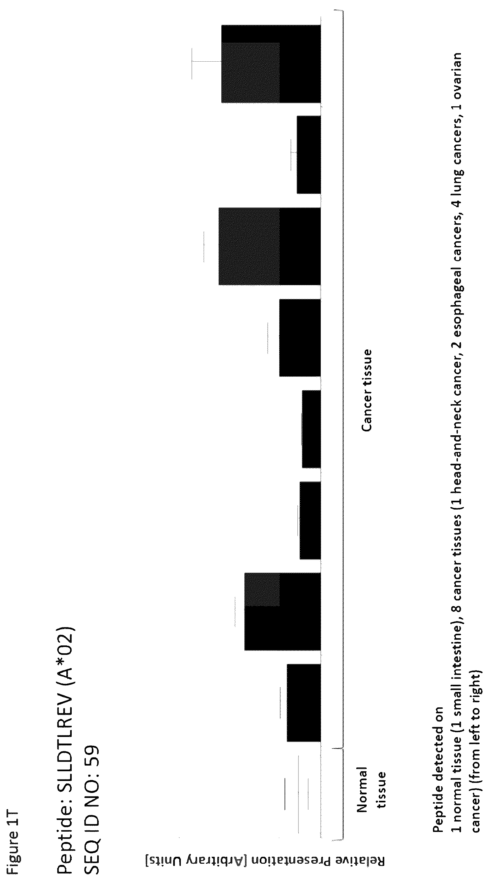 Patent US12297254 Figure 20 – Peptides and combination of peptides for use in immunotherapy against esophageal cancer and other cancers