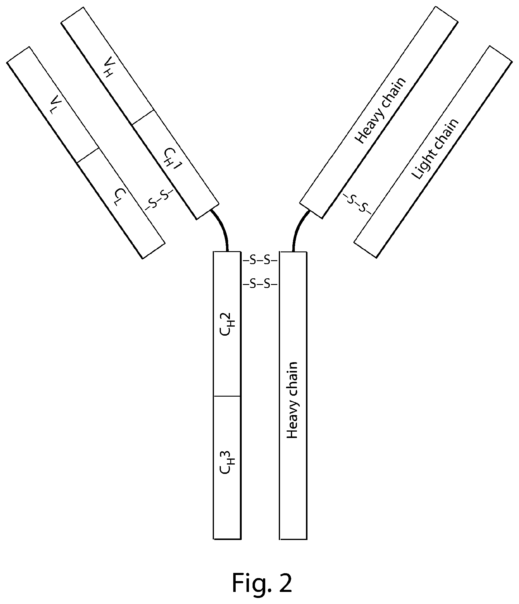 Patent US12297256 Figure 2 – Methods for the treatment of neurodegeneration