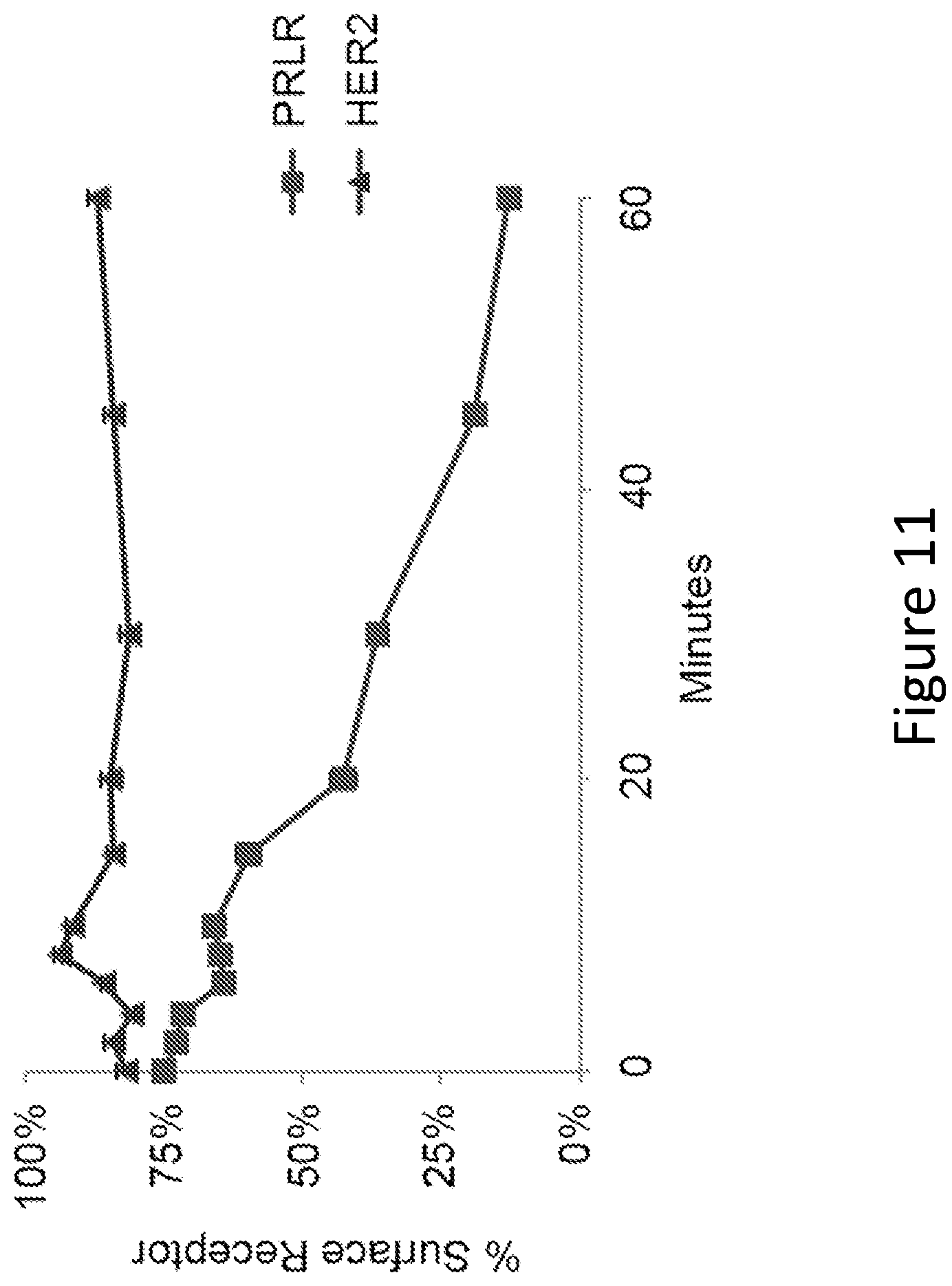 Patent US12297257 Figure 11 – Multispecific antigen-binding molecules and uses thereof