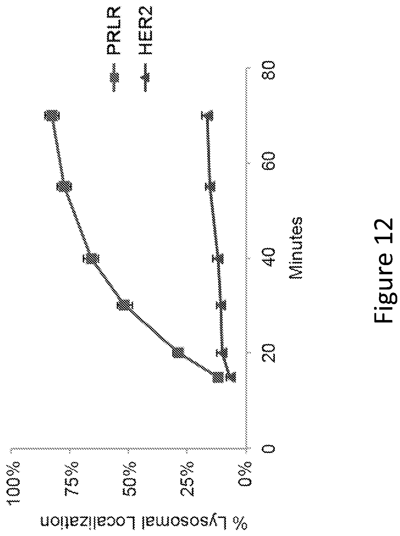 Patent US12297257 Figure 12 – Multispecific antigen-binding molecules and uses thereof