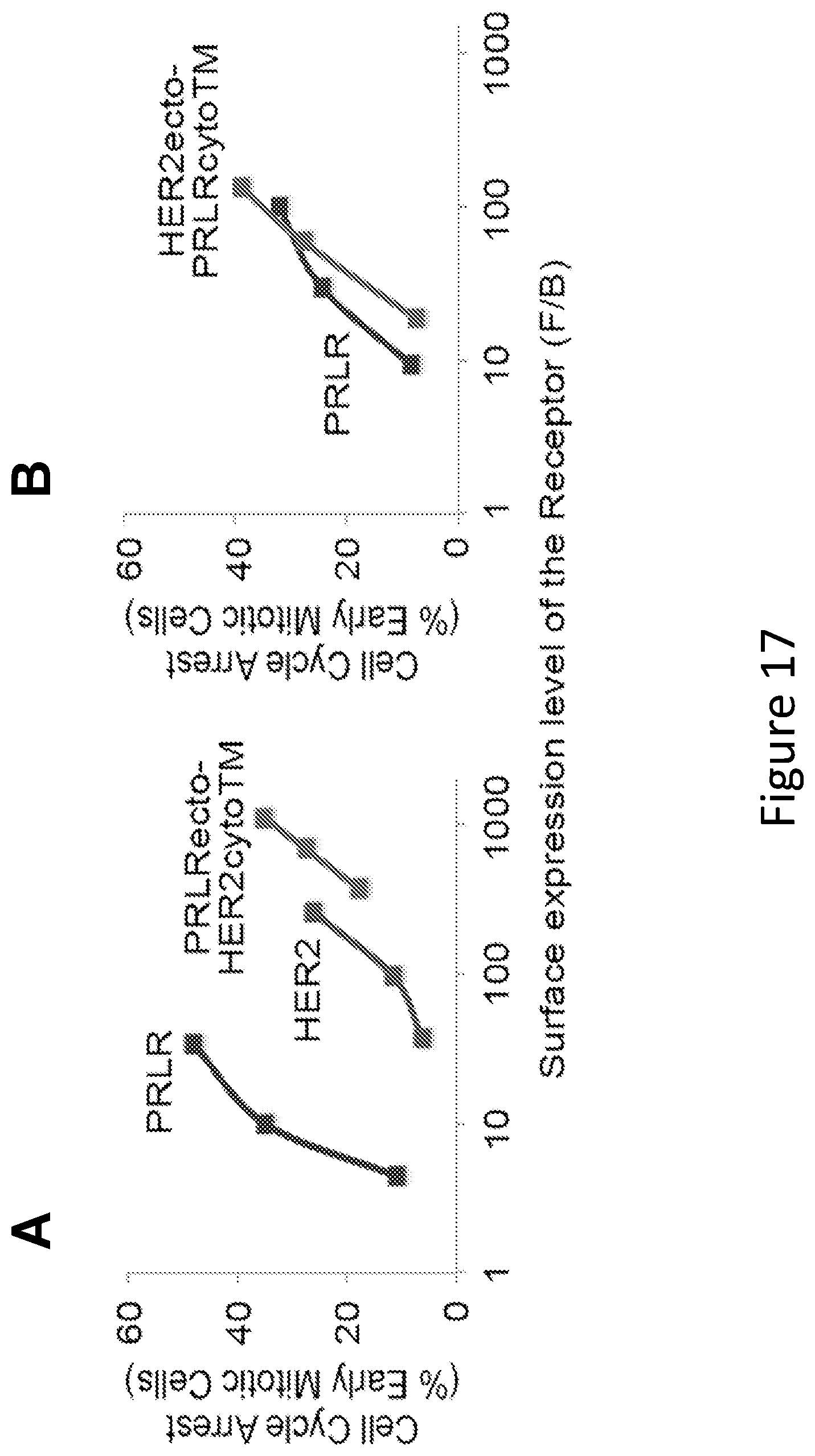 Patent US12297257 Figure 17 – Multispecific antigen-binding molecules and uses thereof