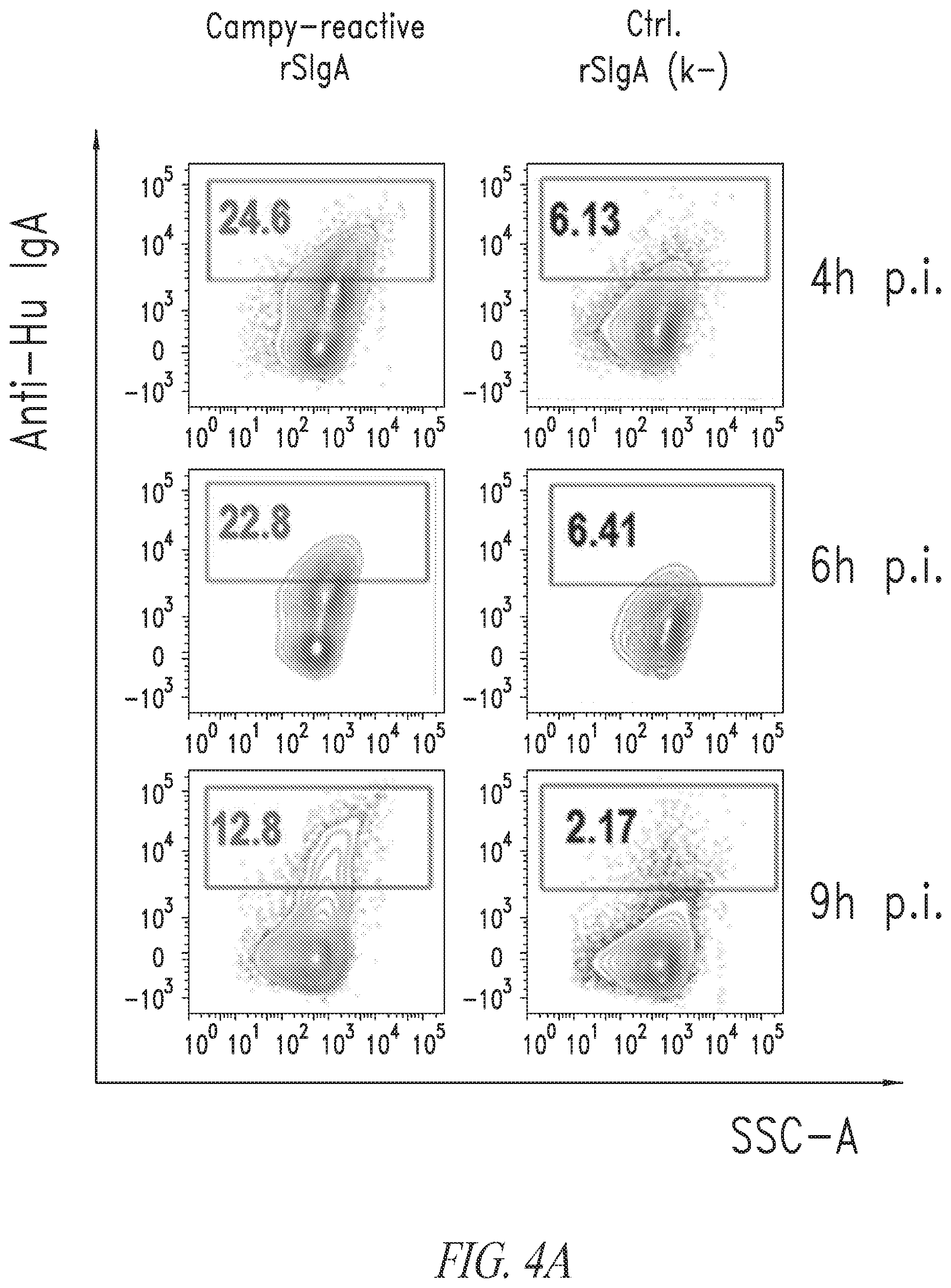 Patent US12297258 Figure 4 – Antibodies against Campylobacter species