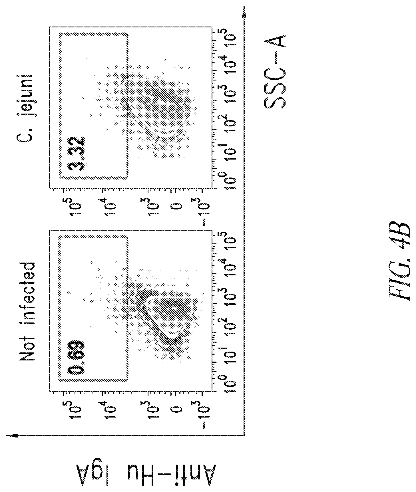 Patent US12297258 Figure 5 – Antibodies against Campylobacter species