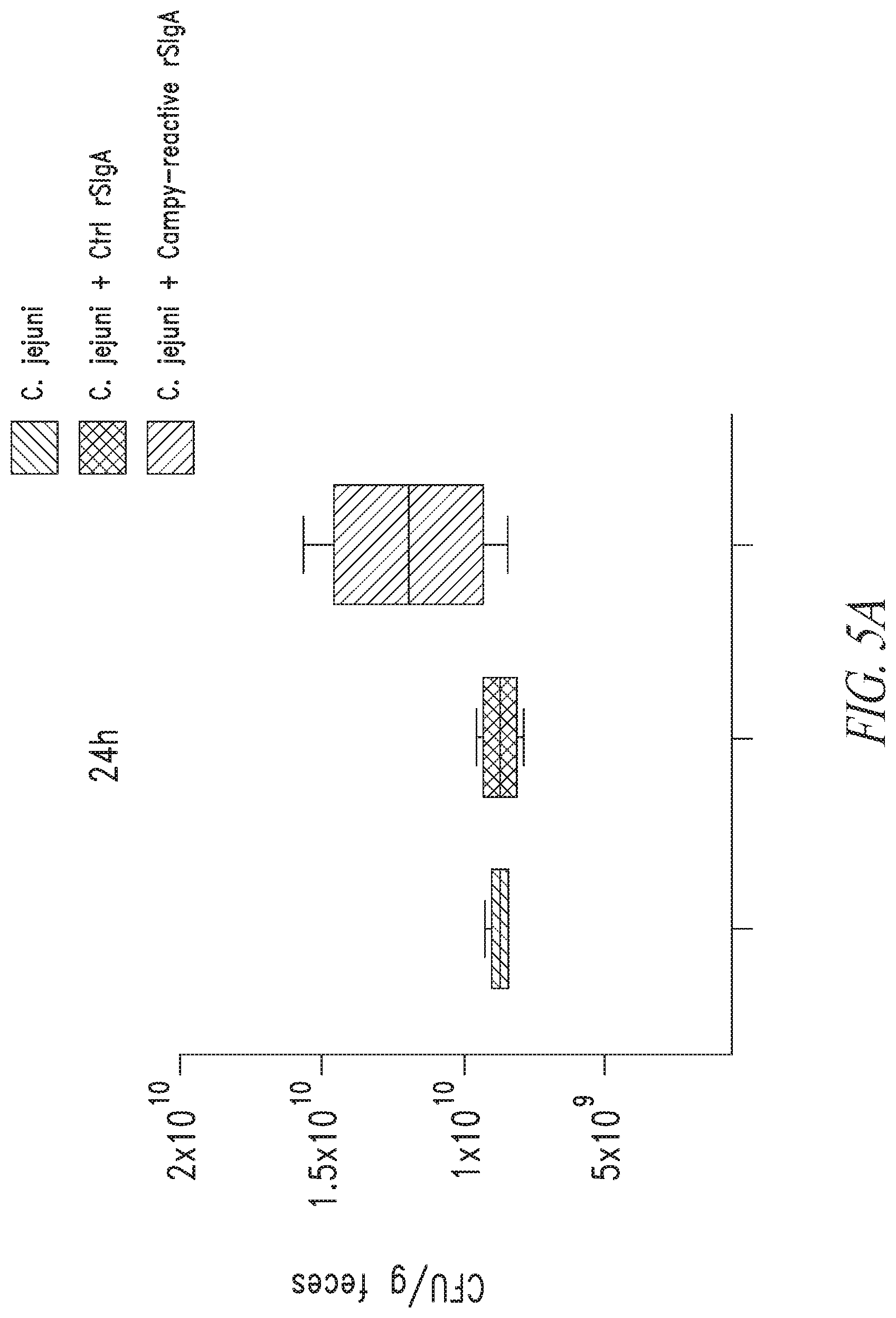 Patent US12297258 Figure 6 – Antibodies against Campylobacter species