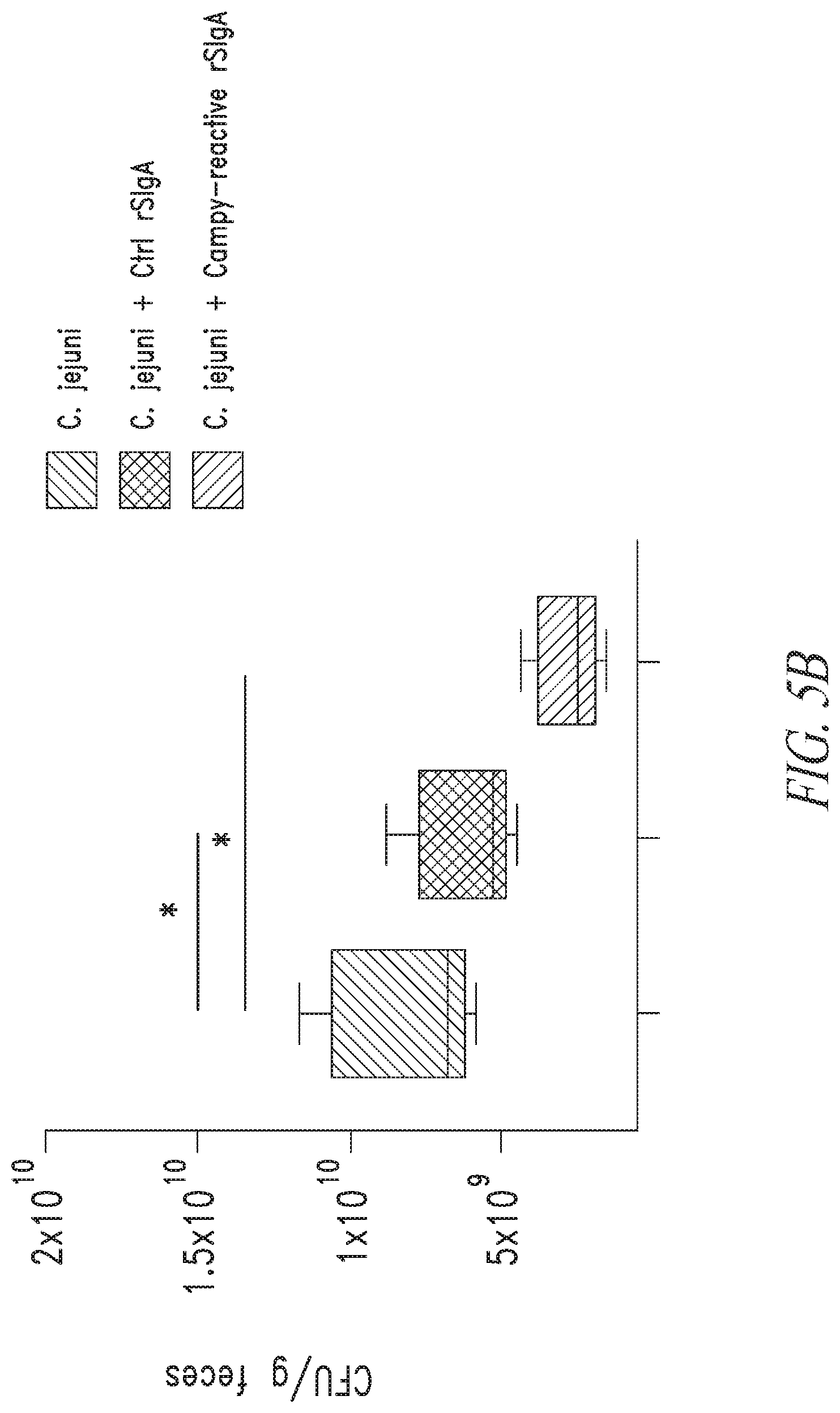 Patent US12297258 Figure 7 – Antibodies against Campylobacter species