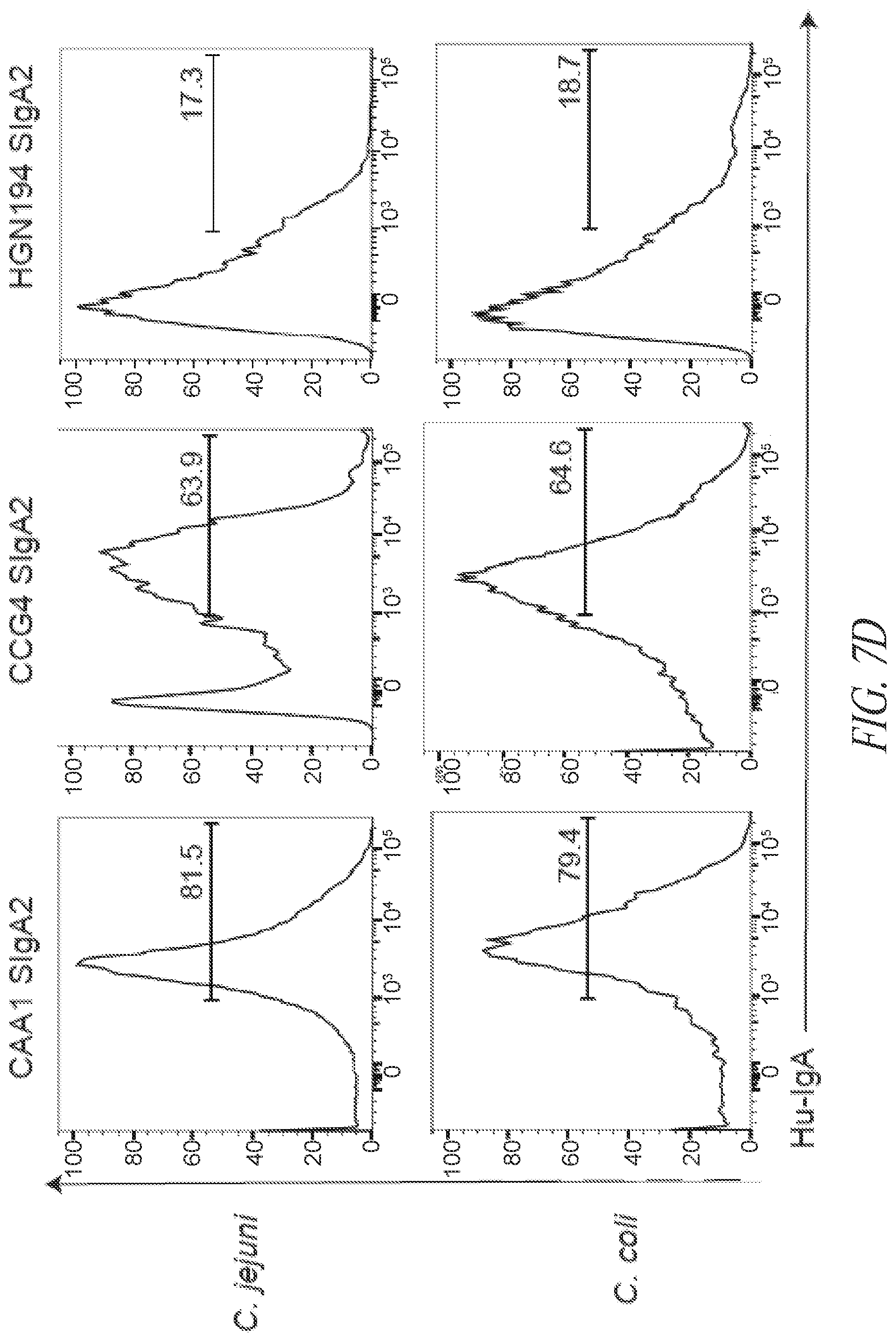 Patent US12297258 Figure 12 – Antibodies against Campylobacter species