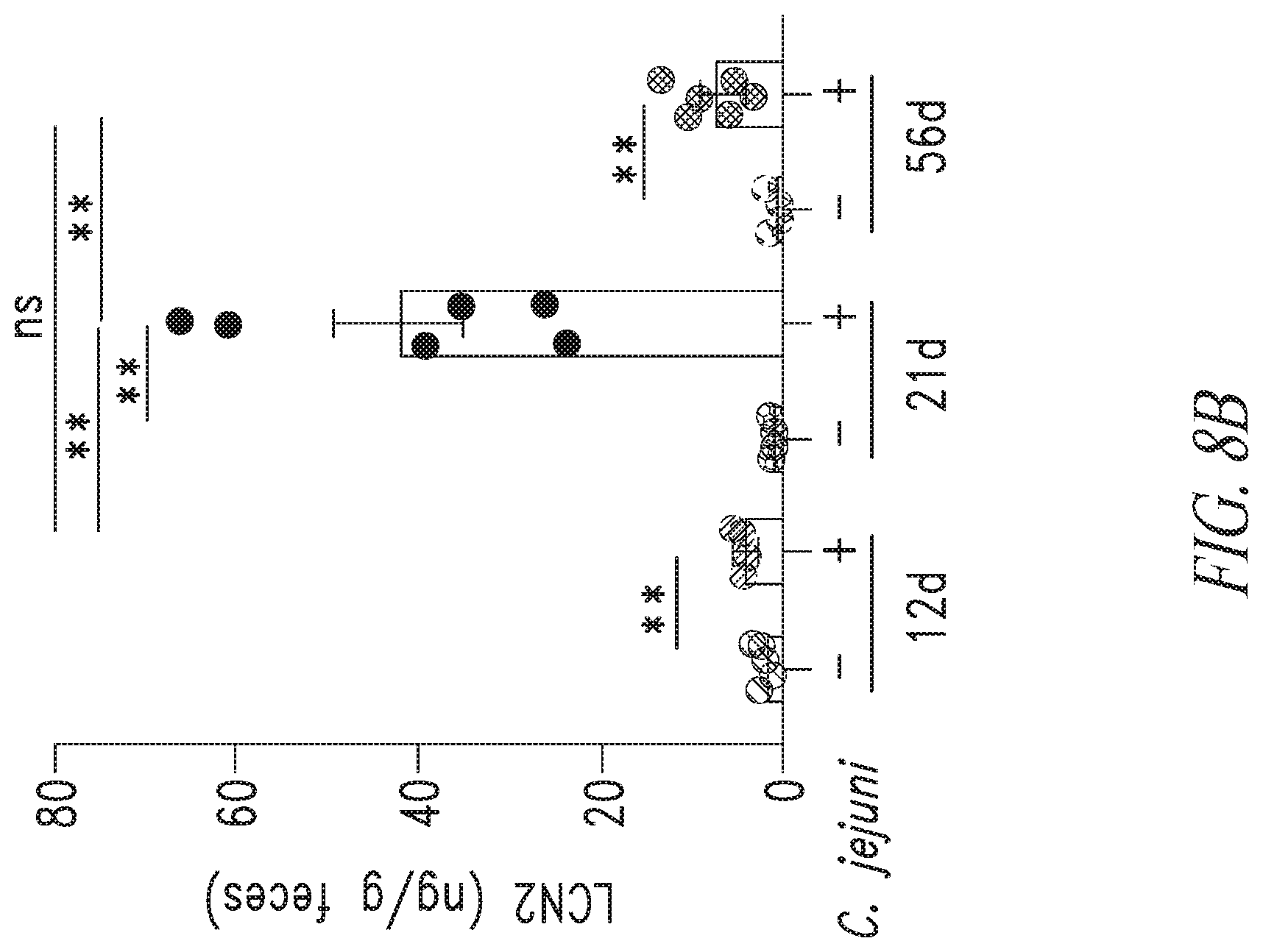 Patent US12297258 Figure 15 – Antibodies against Campylobacter species