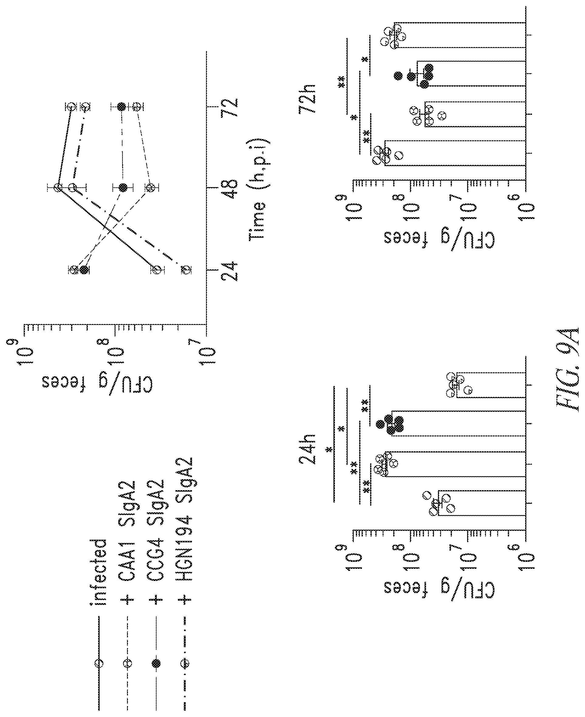 Patent US12297258 Figure 18 – Antibodies against Campylobacter species