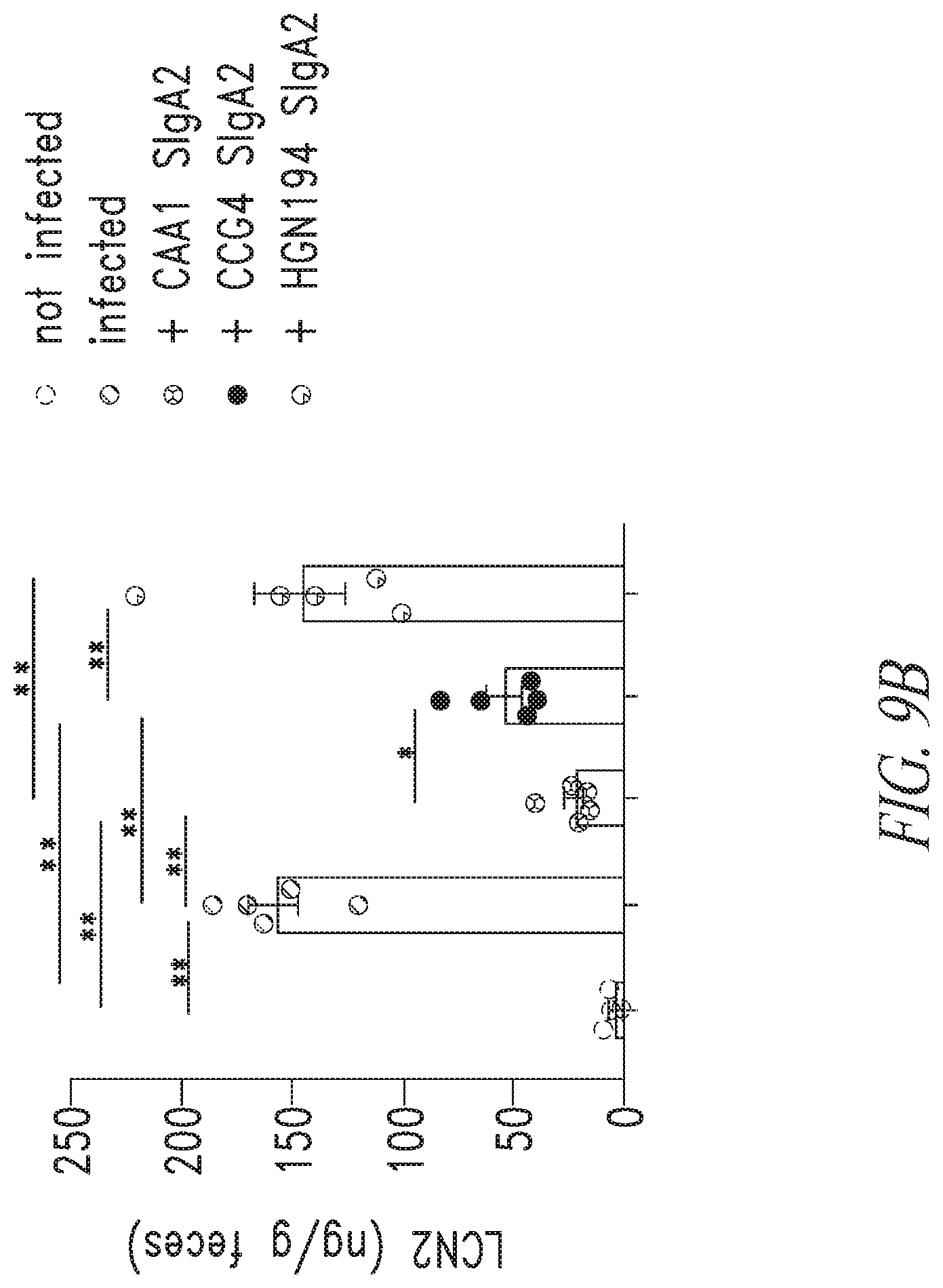 Patent US12297258 Figure 19 – Antibodies against Campylobacter species