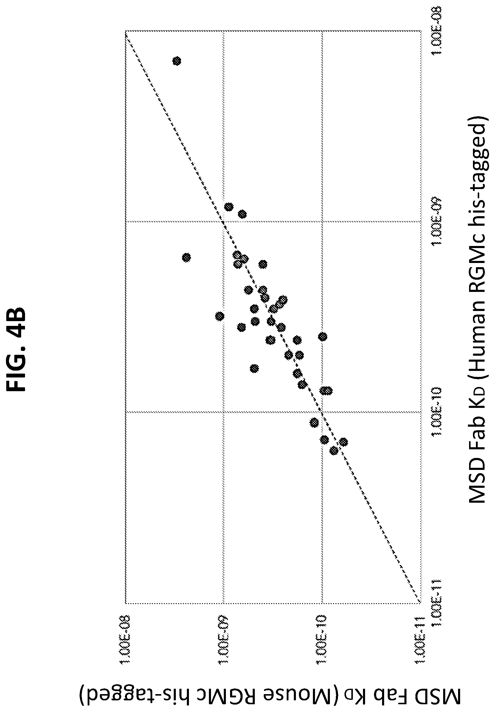 Patent US12297262 Figure 6 – RGMC-selective inhibitors and use thereof