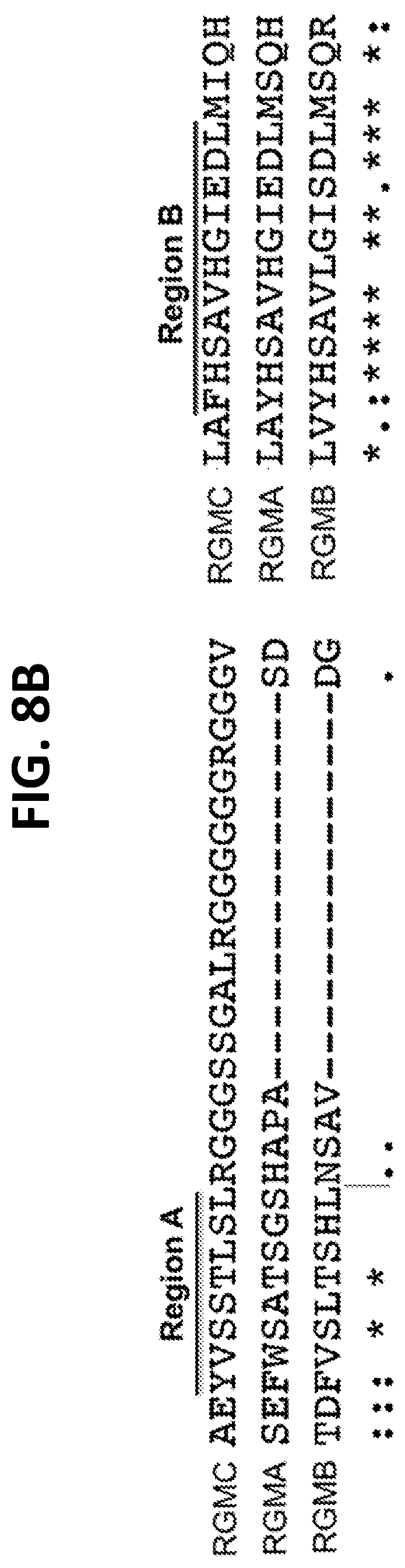 Patent US12297262 Figure 14 – RGMC-selective inhibitors and use thereof