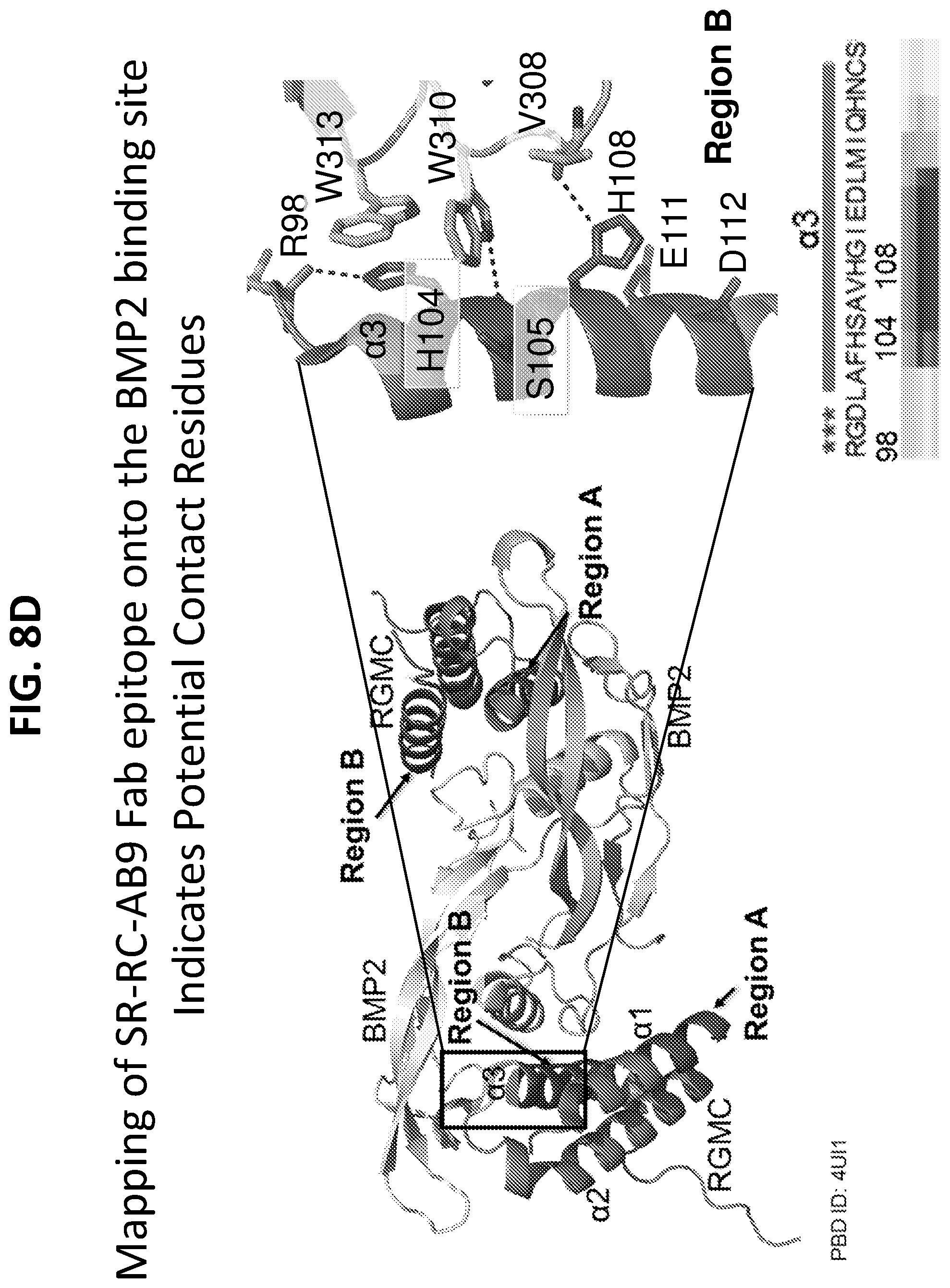 Patent US12297262 Figure 16 – RGMC-selective inhibitors and use thereof