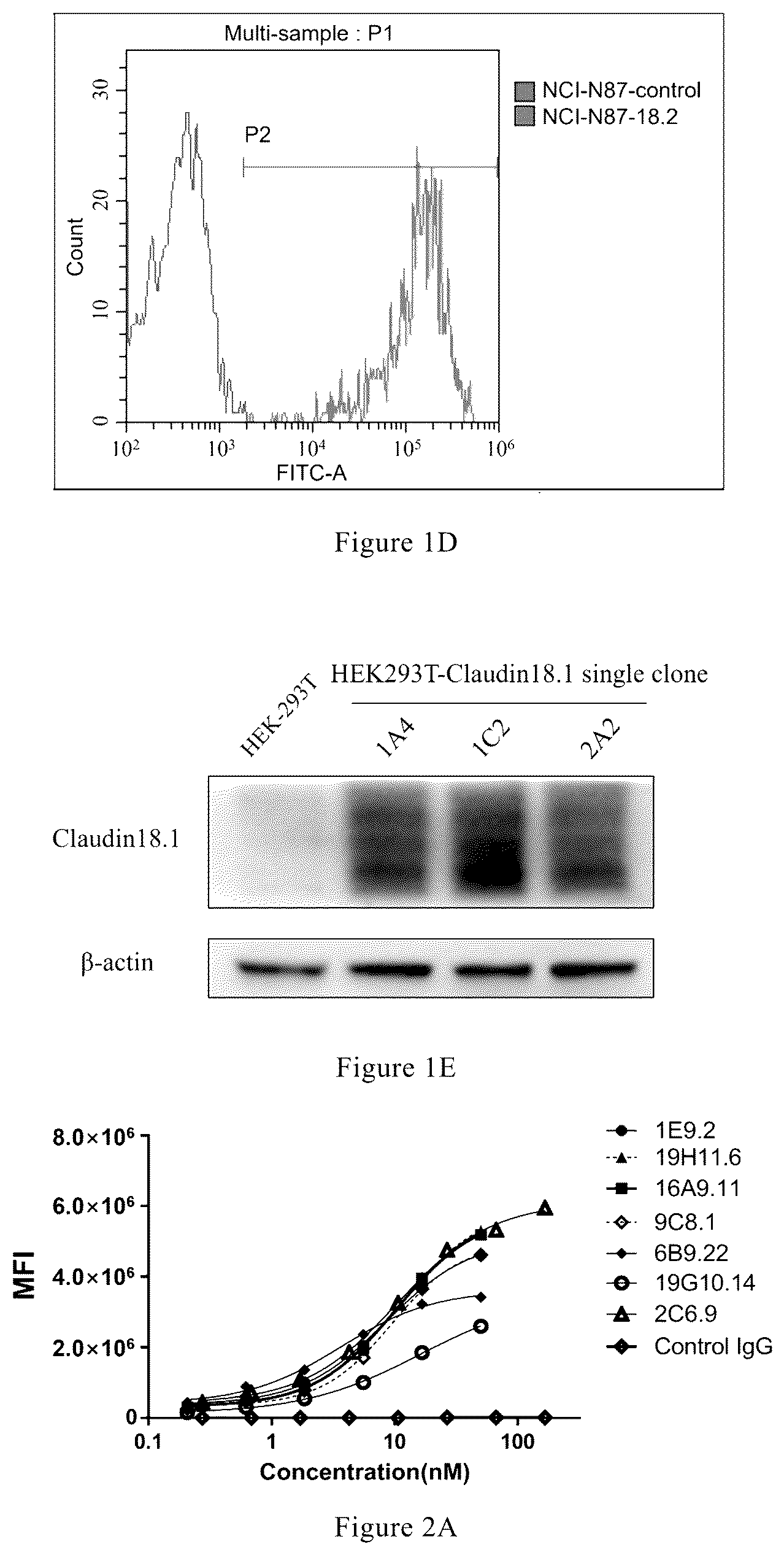 Patent US12297265 Figure 2 – Antibody and use thereof