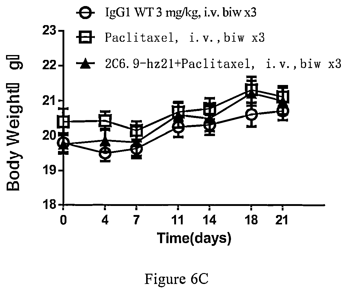 Patent US12297265 Figure 10 – Antibody and use thereof