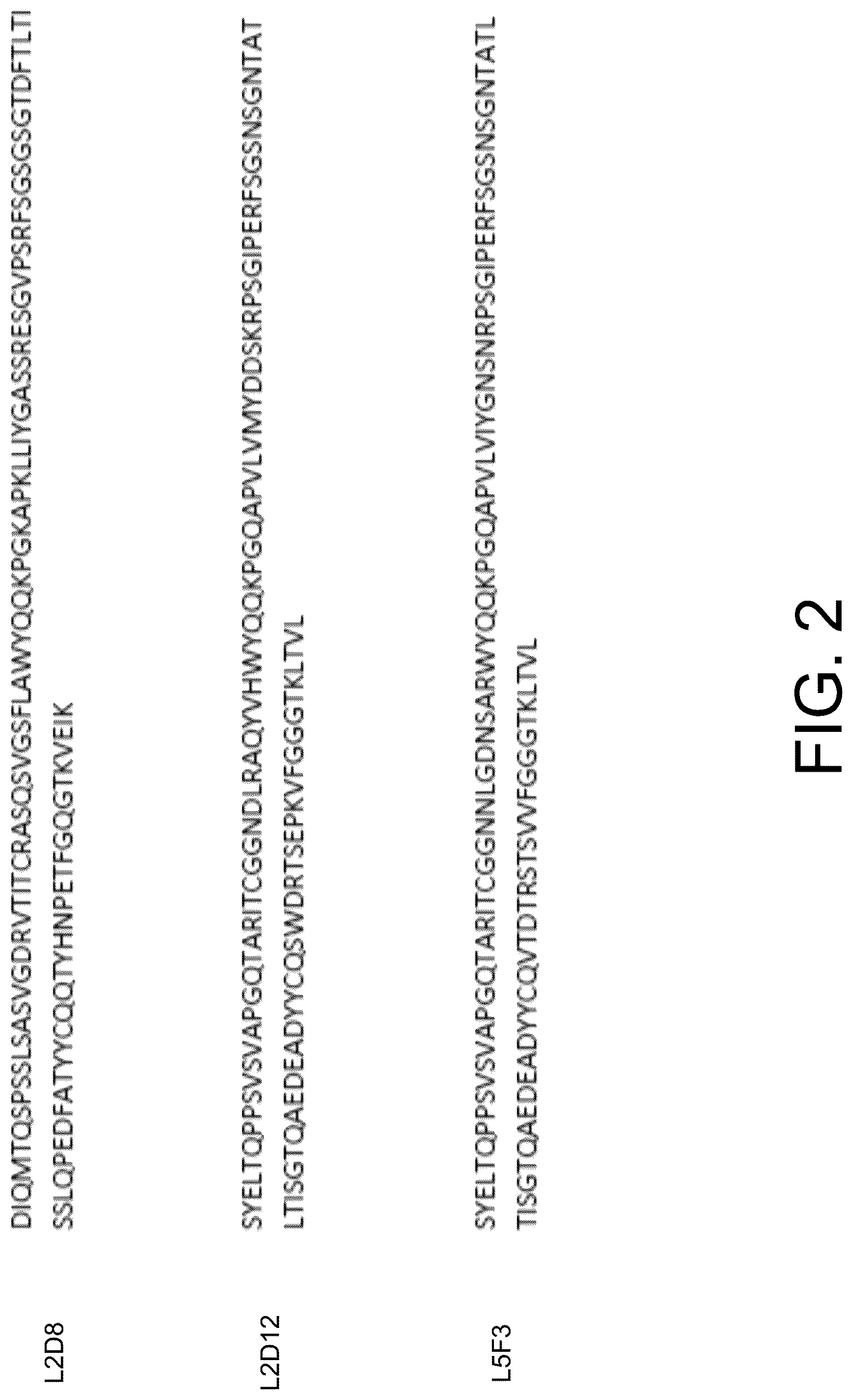 Patent US12297267 Figure 2 – Humanized anti-CD19 antibody and use thereof with chimeric antigen receptor