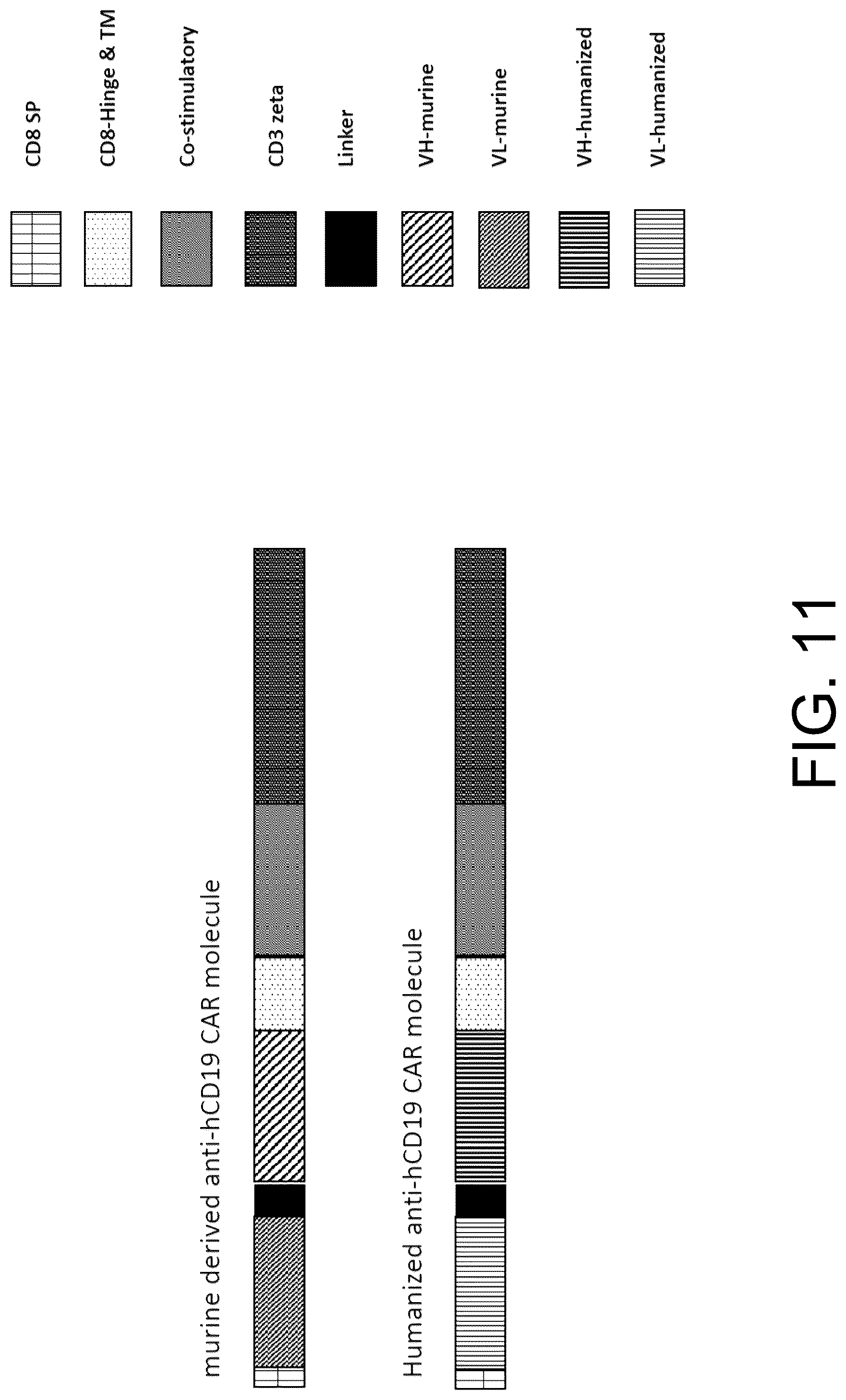 Patent US12297267 Figure 11 – Humanized anti-CD19 antibody and use thereof with chimeric antigen receptor
