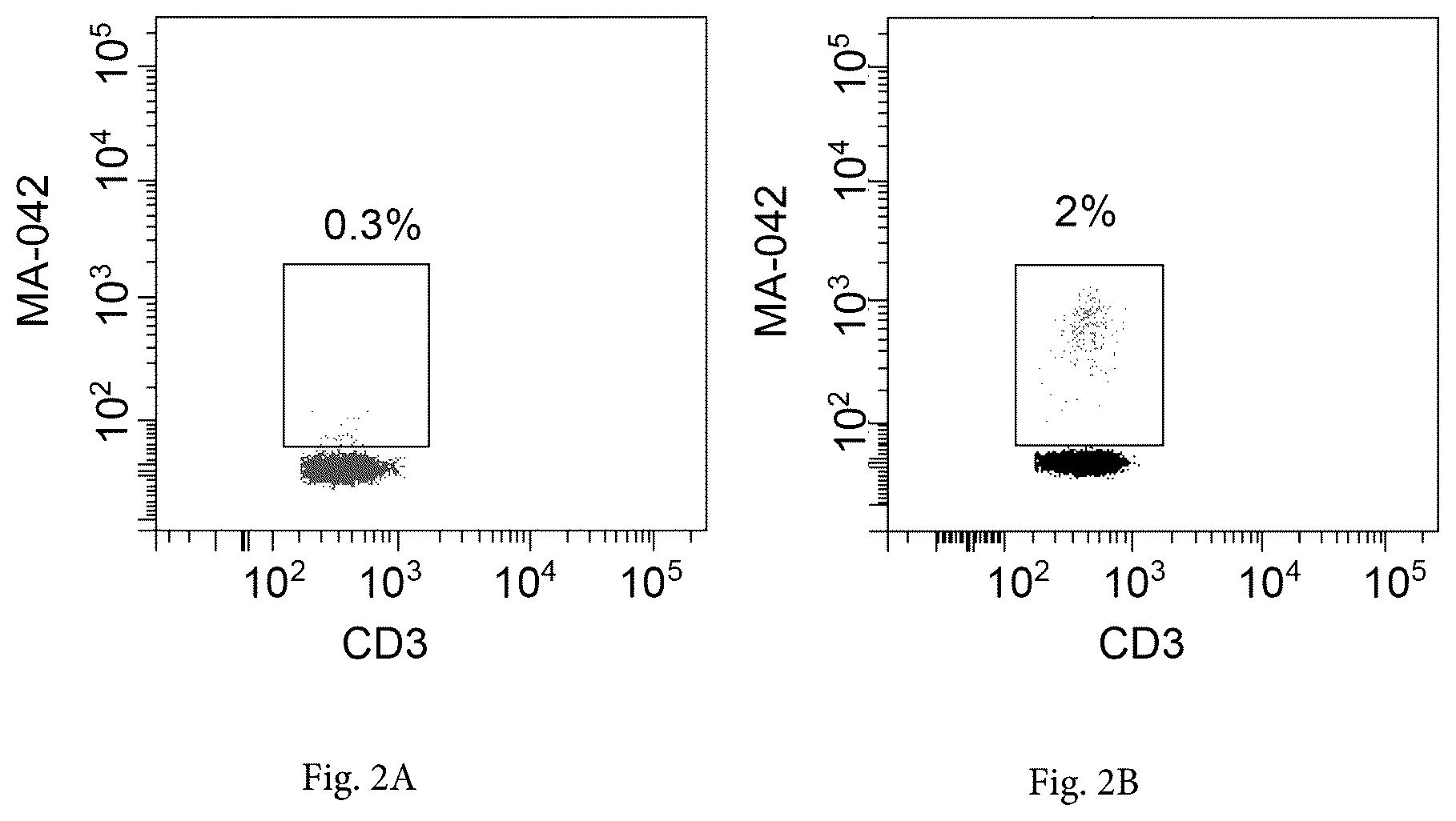 Patent US12297269 Figure 2 – Monoclonal antibodies that bind specifically to human TRBV9