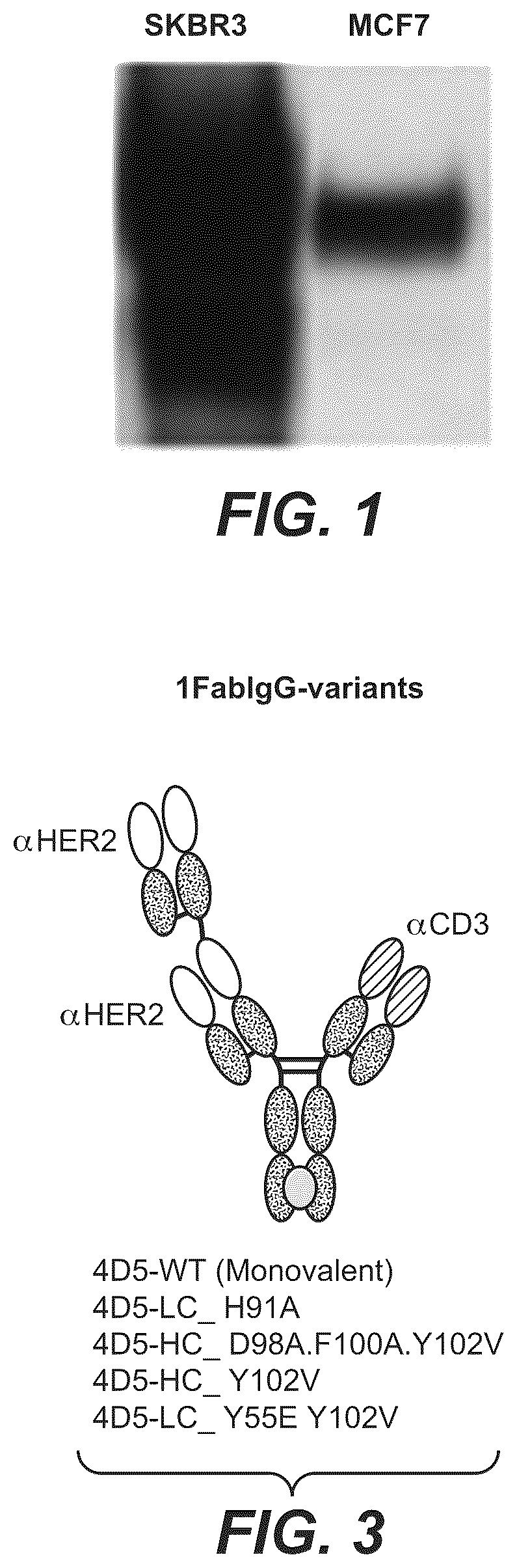 Patent US12297270 Figure 1 – Bispecific antigen-binding molecules and methods of use
