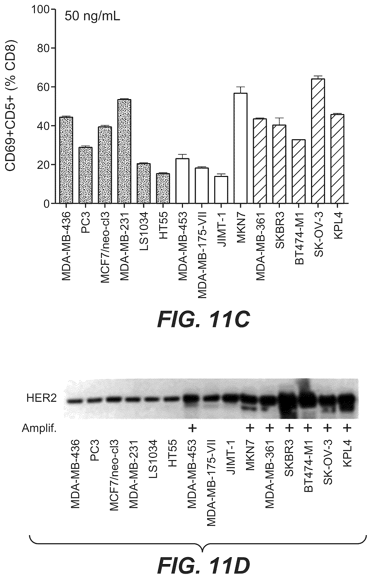 Patent US12297270 Figure 9 – Bispecific antigen-binding molecules and methods of use