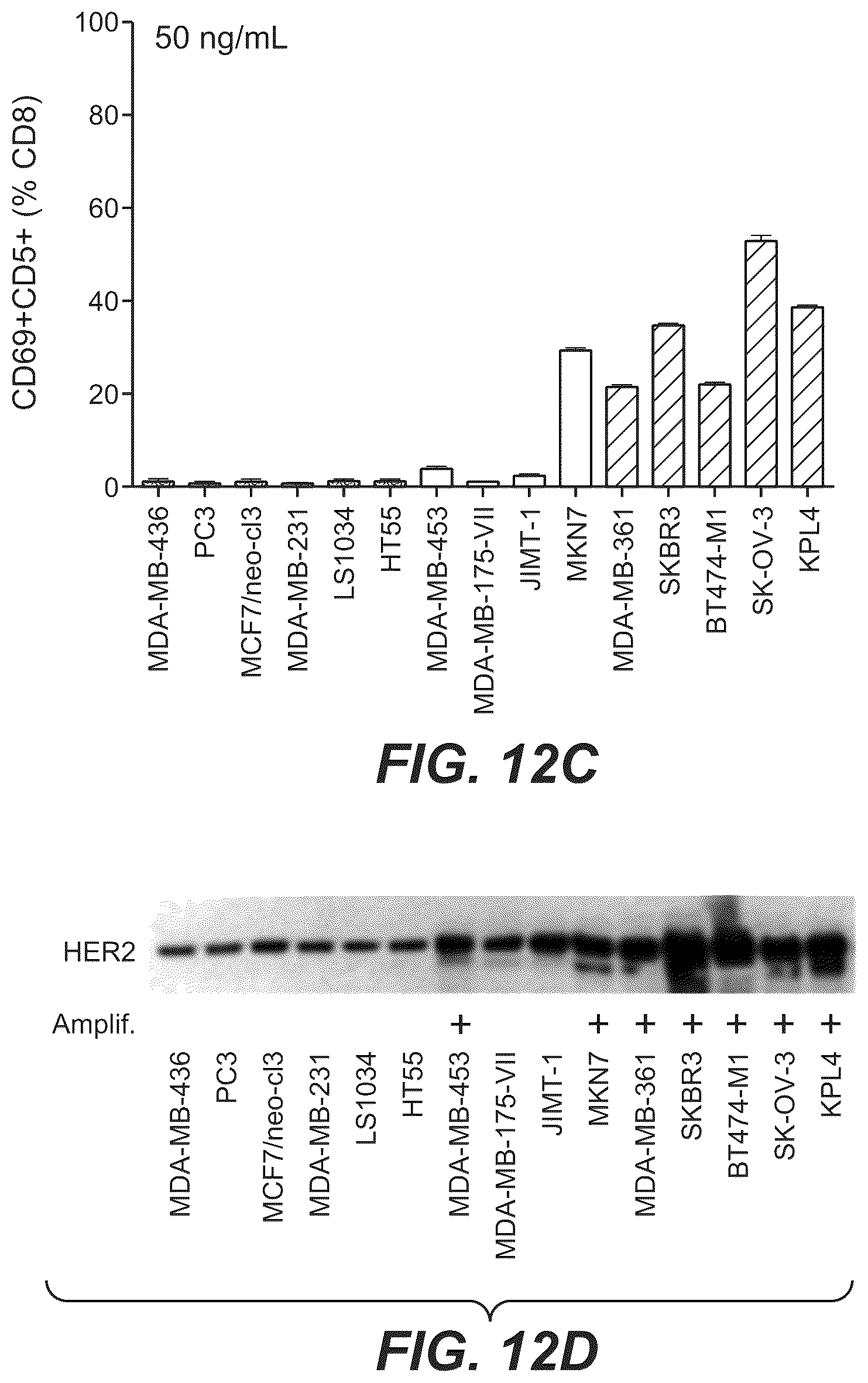 Patent US12297270 Figure 11 – Bispecific antigen-binding molecules and methods of use