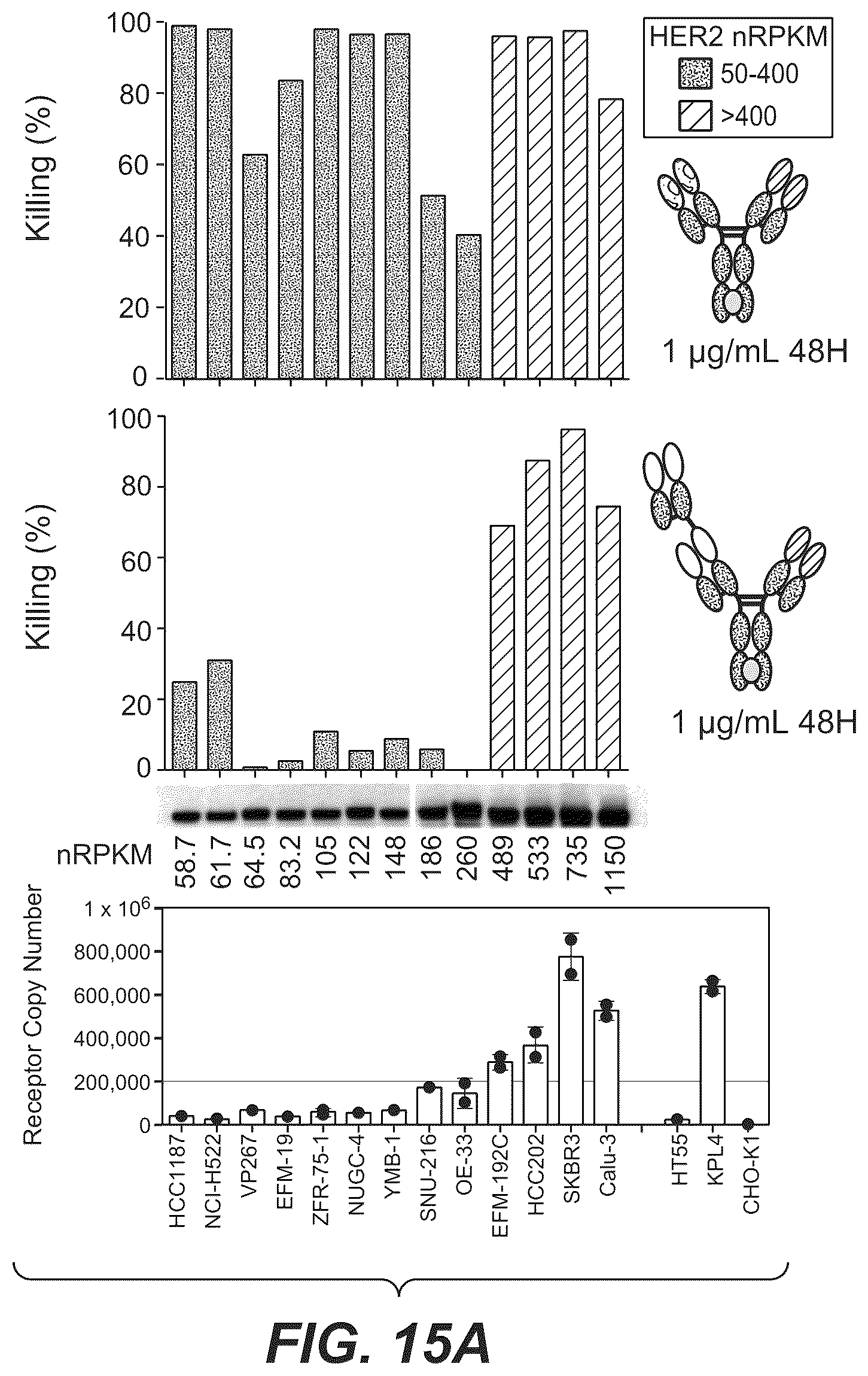 Patent US12297270 Figure 14 – Bispecific antigen-binding molecules and methods of use