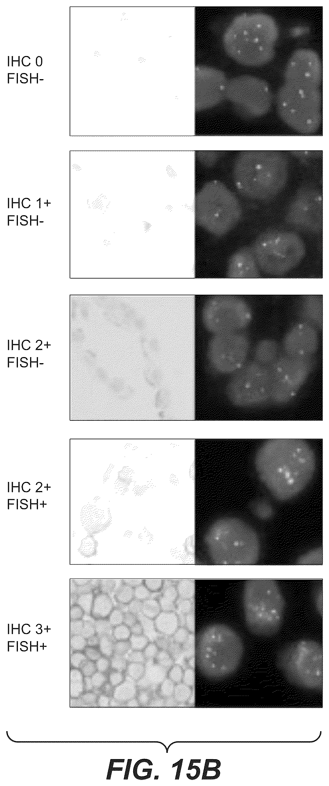 Patent US12297270 Figure 15 – Bispecific antigen-binding molecules and methods of use