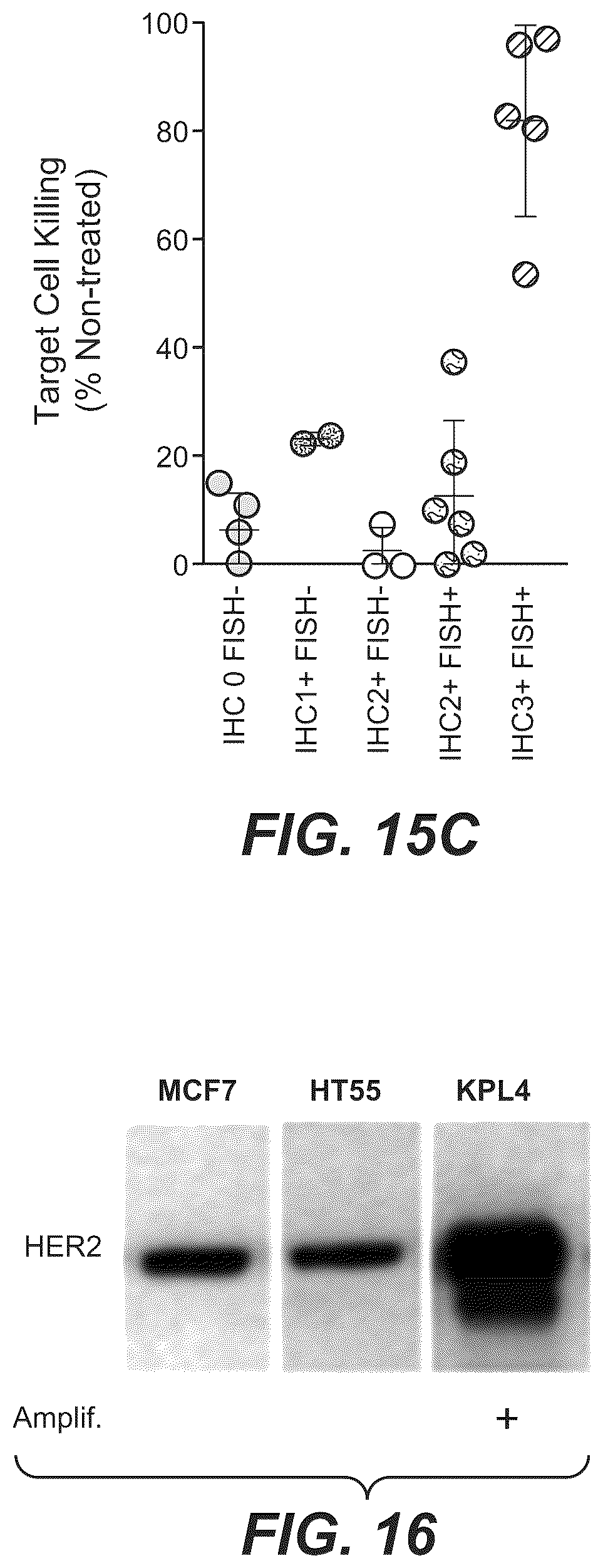 Patent US12297270 Figure 16 – Bispecific antigen-binding molecules and methods of use