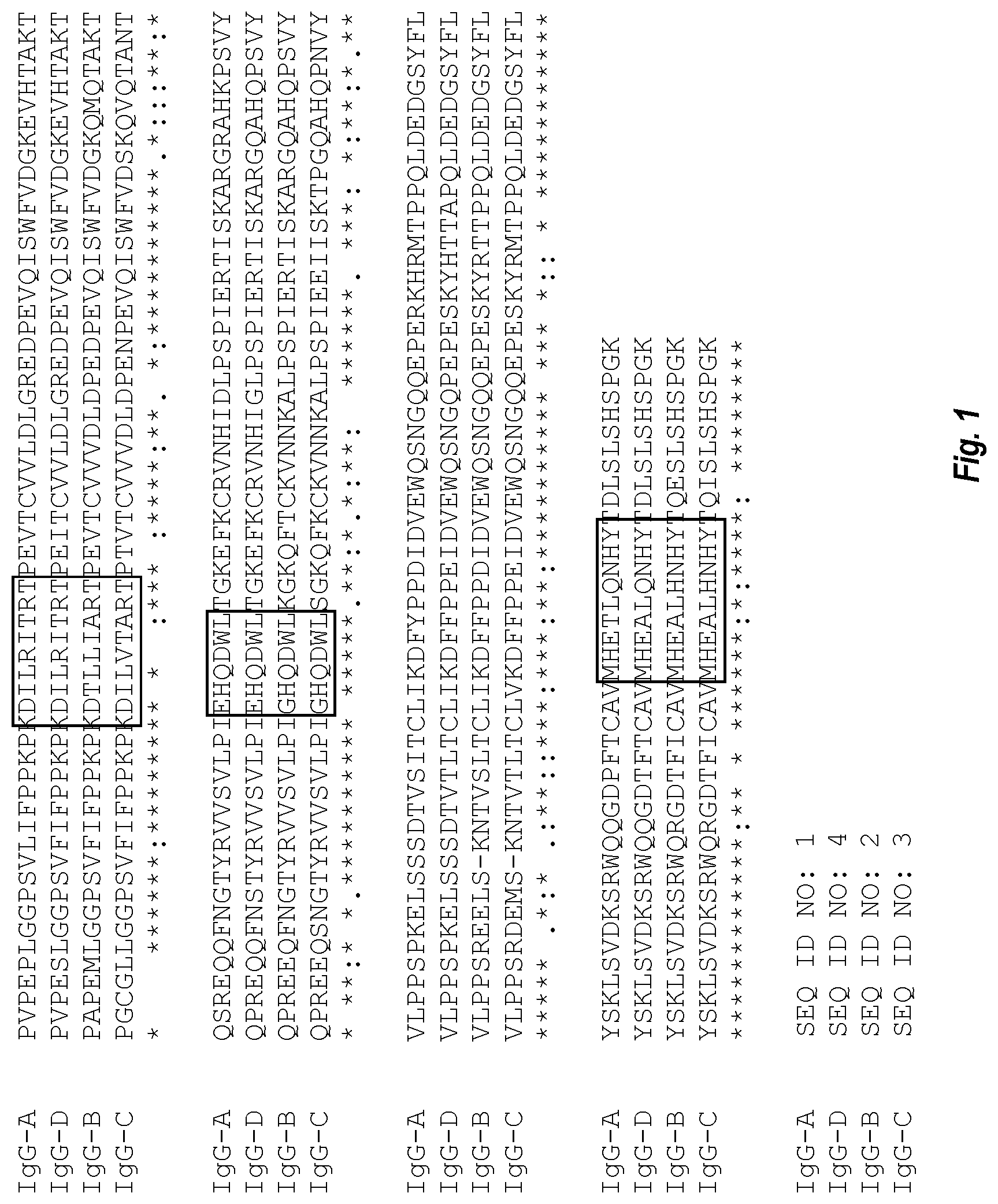 Patent US12297272 Figure 1 – IgG Fc variants for veterinary use