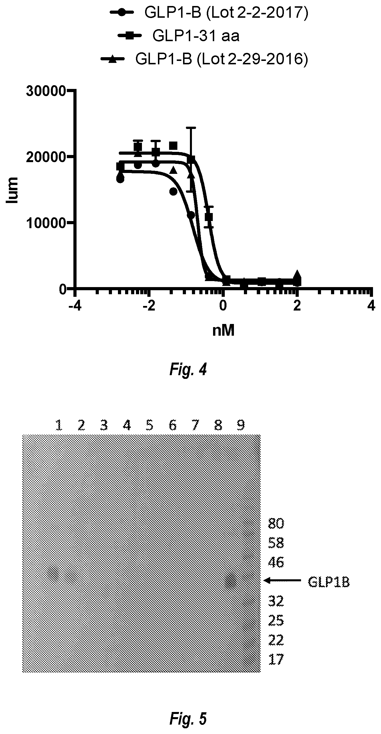 Patent US12297272 Figure 4 – IgG Fc variants for veterinary use