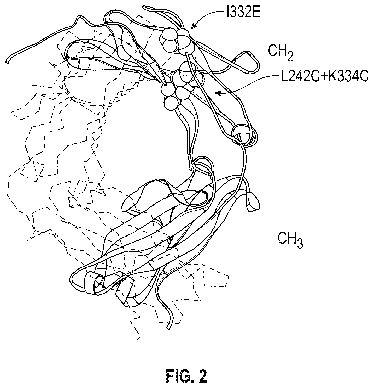 Patent US12297273 Figure 3 – Fc variant with enhanced affinity to Fc receptors and improved thermal stability