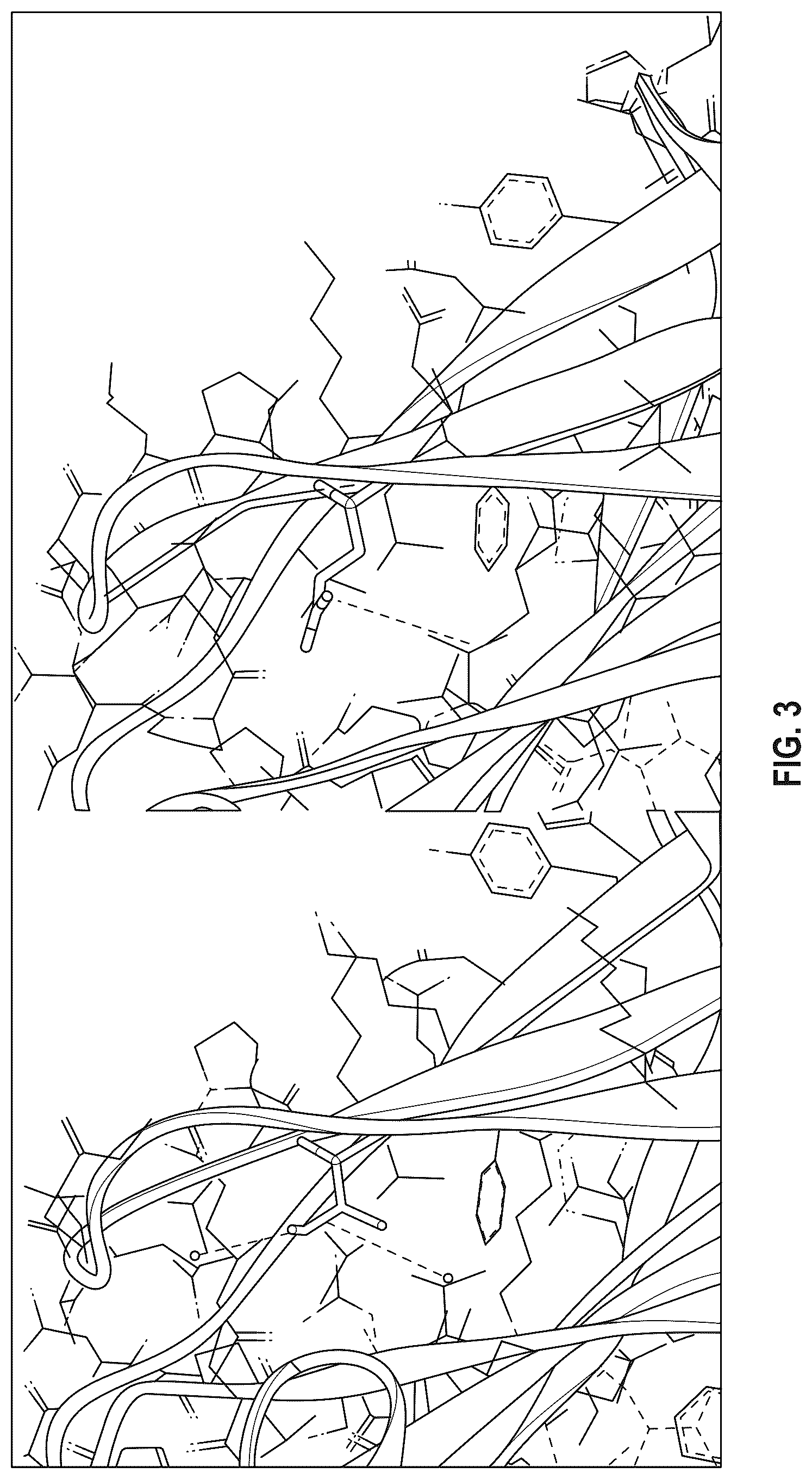 Patent US12297273 Figure 4 – Fc variant with enhanced affinity to Fc receptors and improved thermal stability