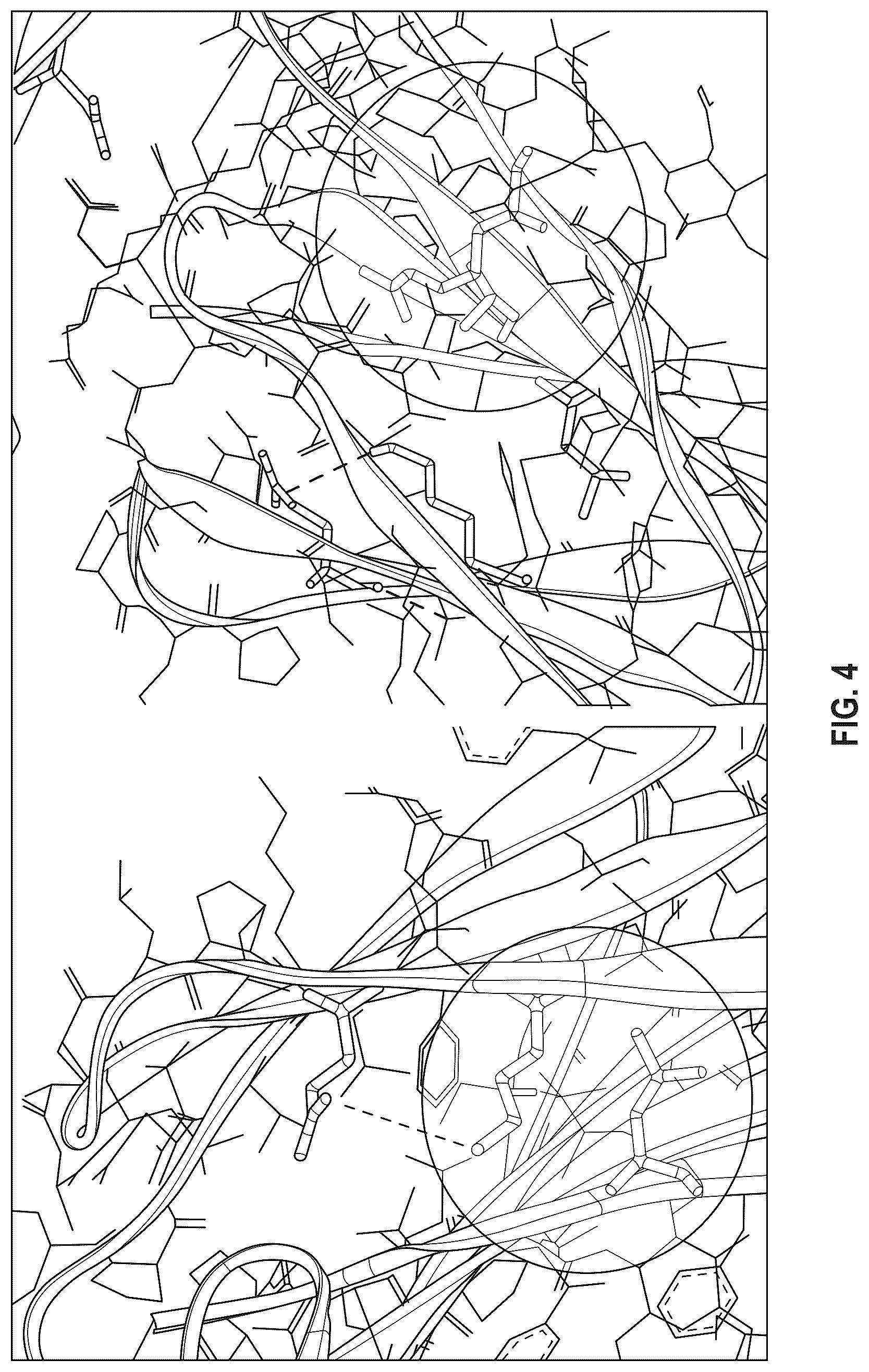Patent US12297273 Figure 5 – Fc variant with enhanced affinity to Fc receptors and improved thermal stability