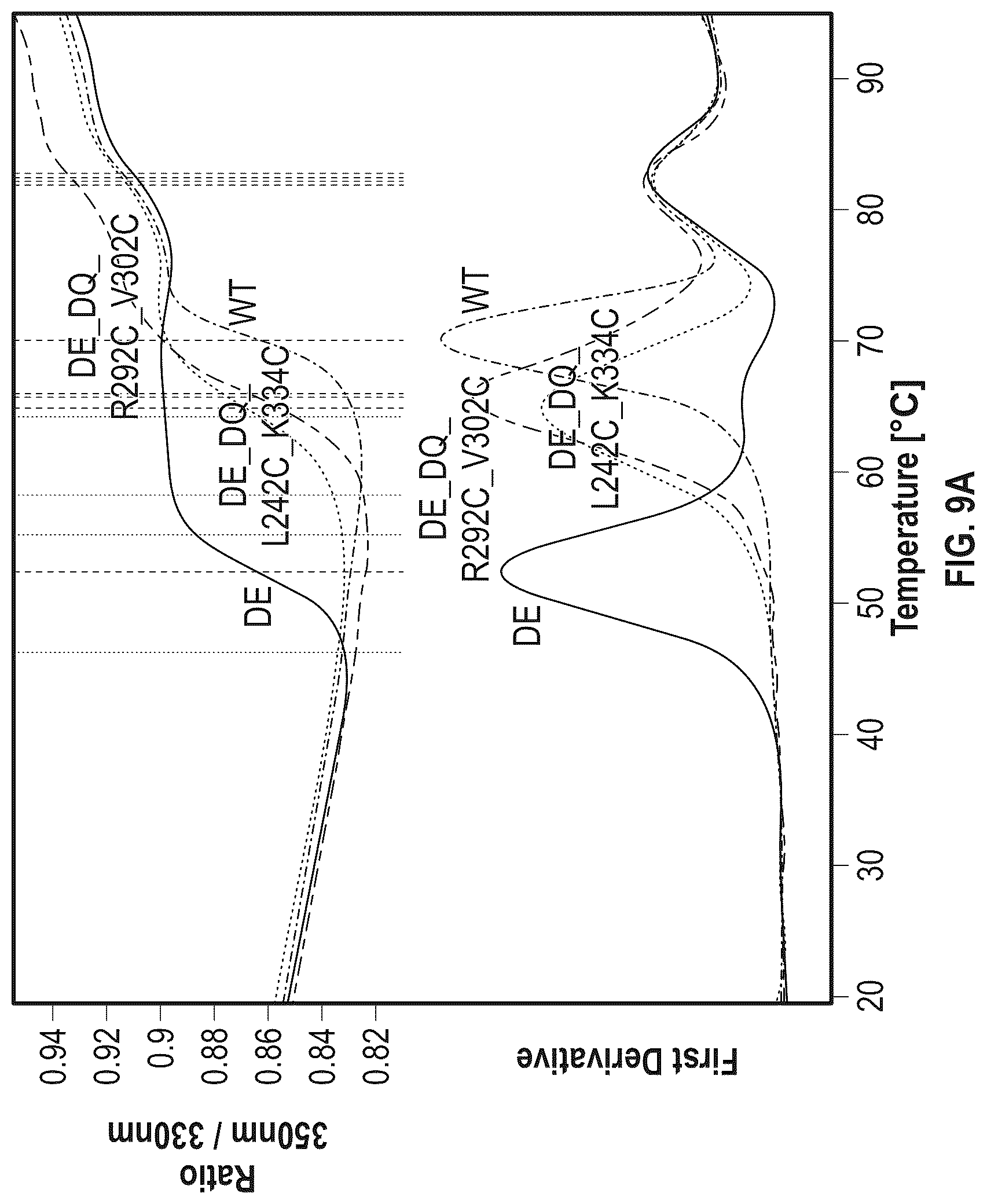 Patent US12297273 Figure 17 – Fc variant with enhanced affinity to Fc receptors and improved thermal stability