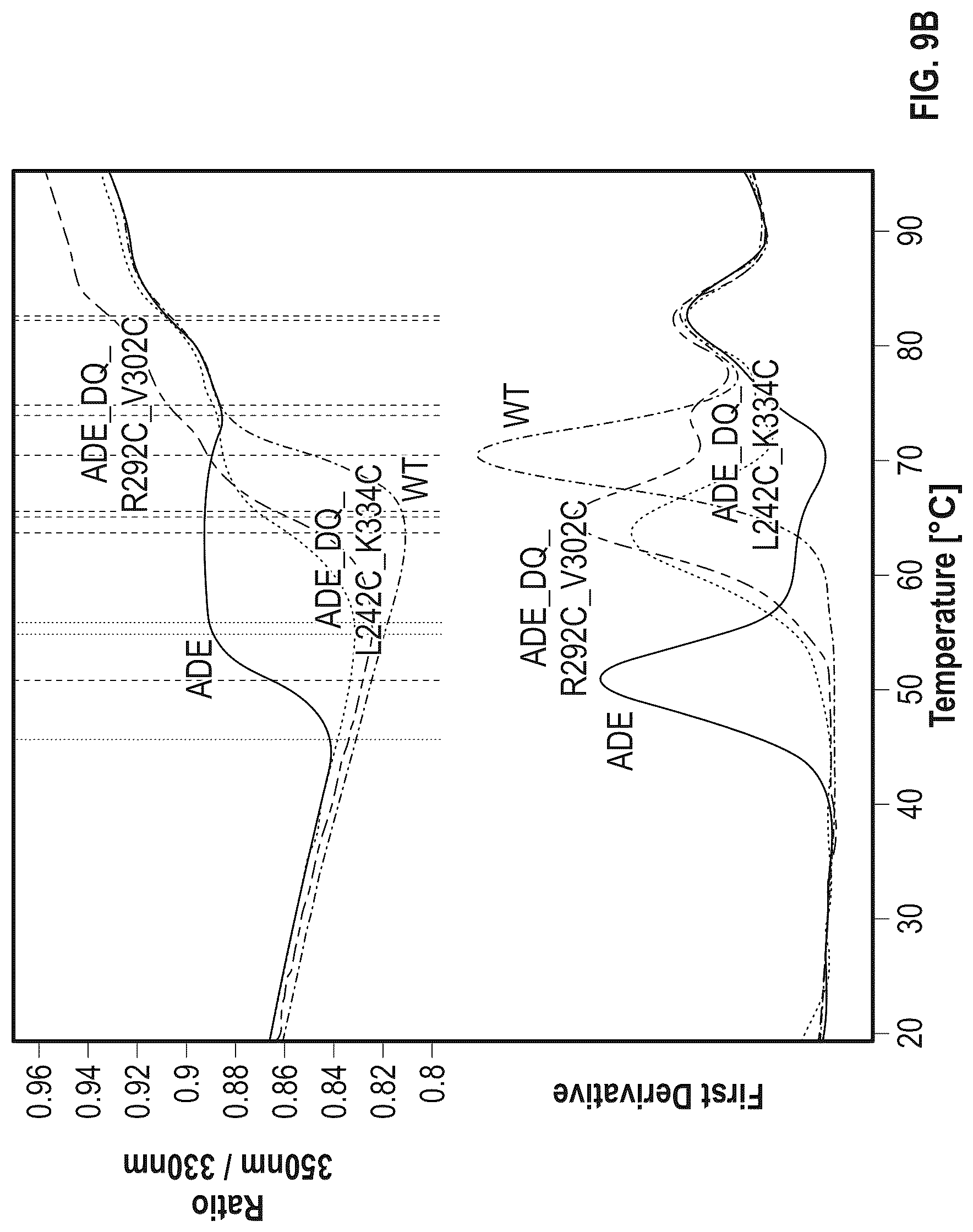 Patent US12297273 Figure 18 – Fc variant with enhanced affinity to Fc receptors and improved thermal stability