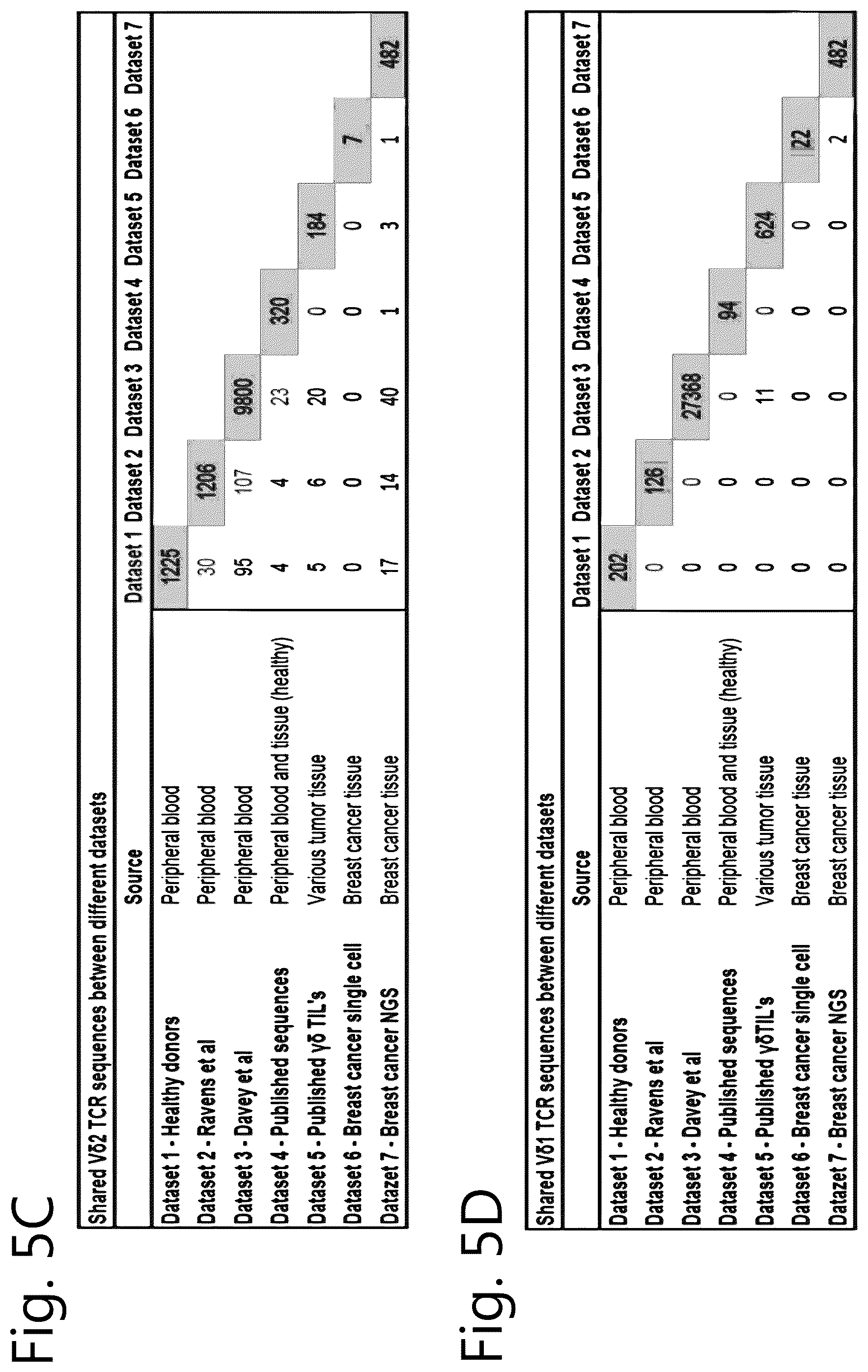 Patent US12297274 Figure 6 – Method of cell therapy