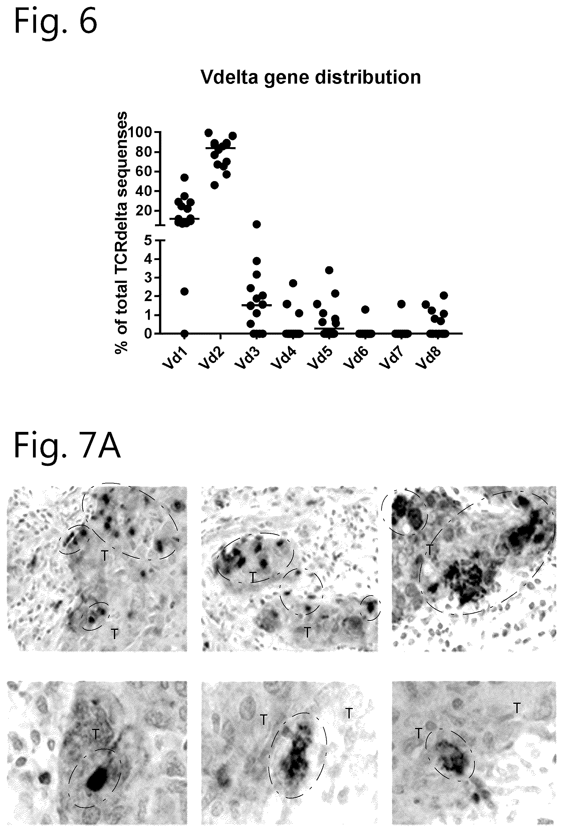 Patent US12297274 Figure 8 – Method of cell therapy