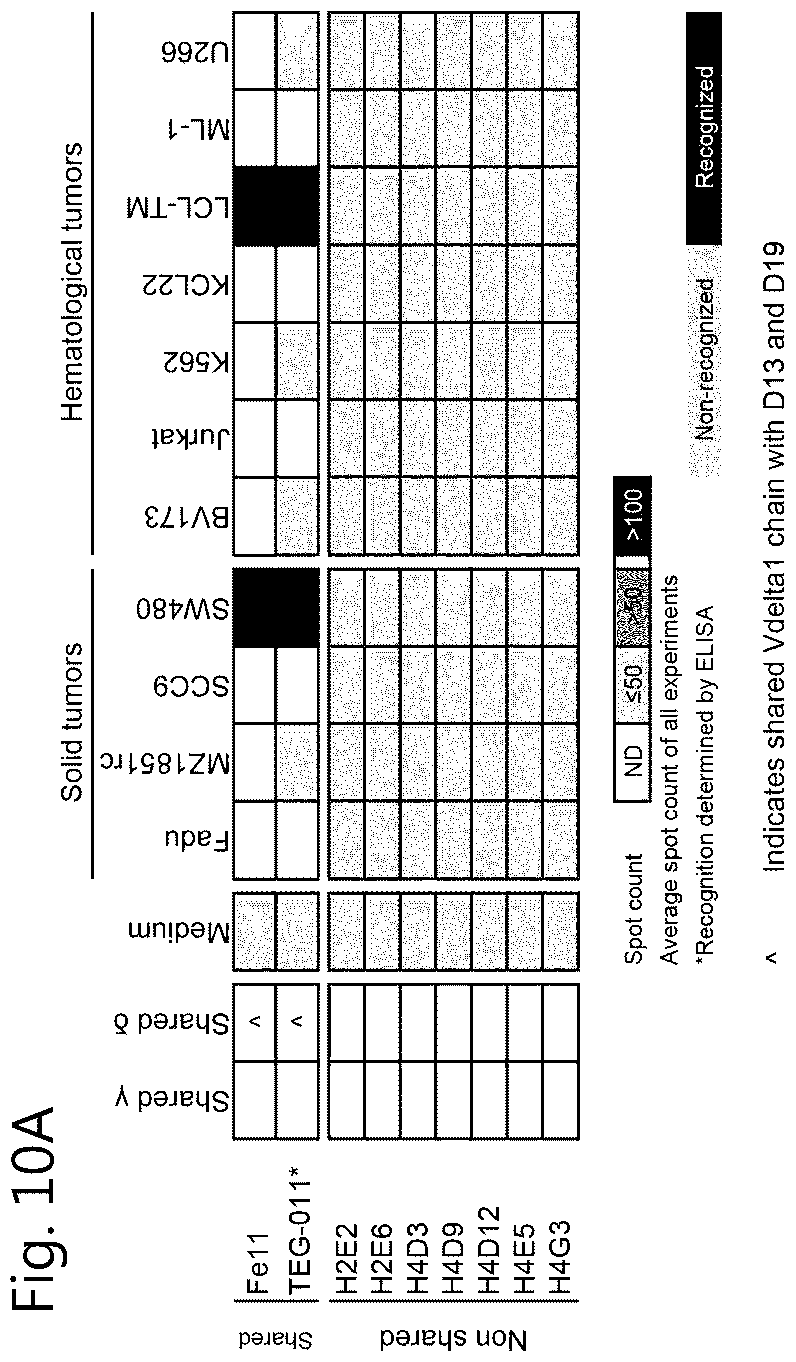 Patent US12297274 Figure 13 – Method of cell therapy
