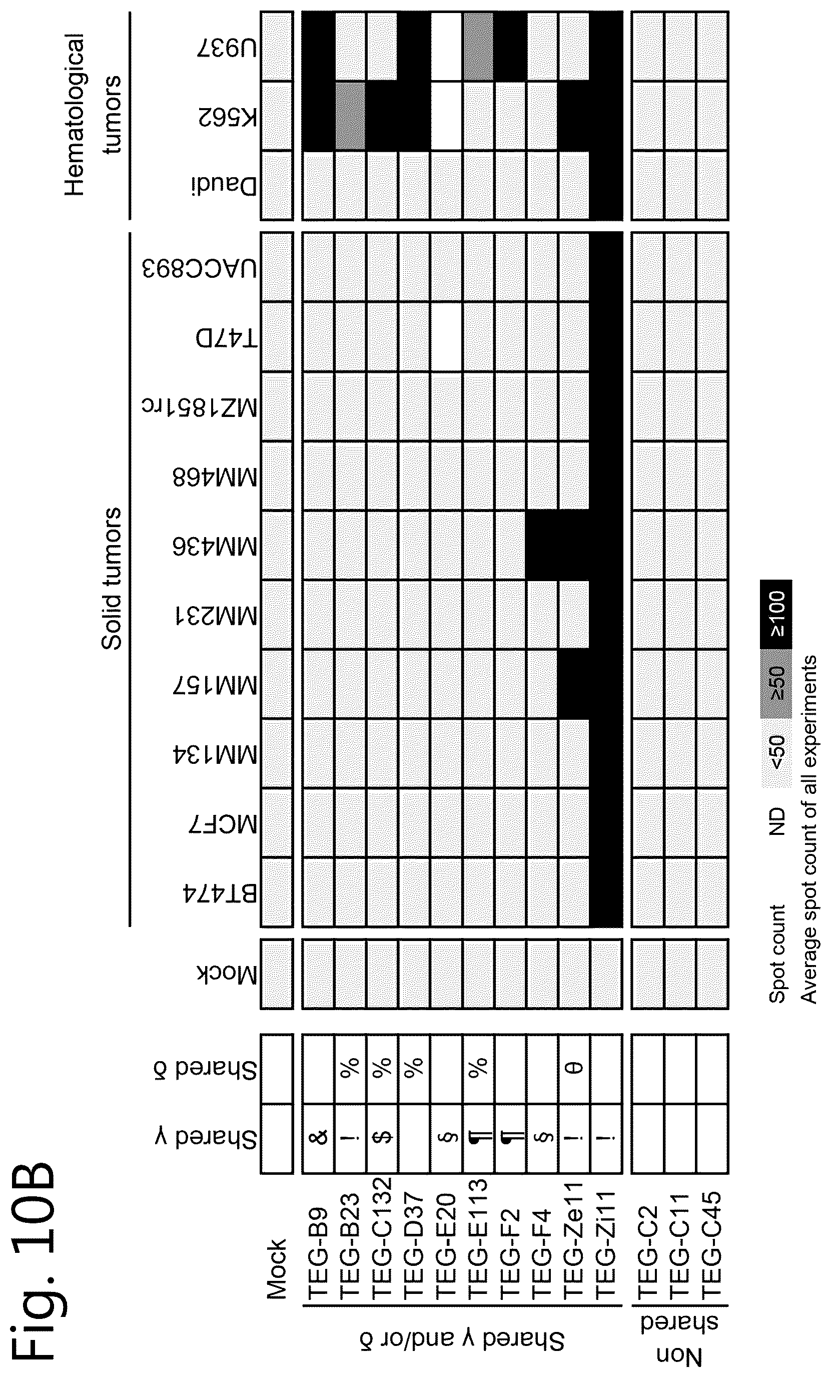 Patent US12297274 Figure 14 – Method of cell therapy