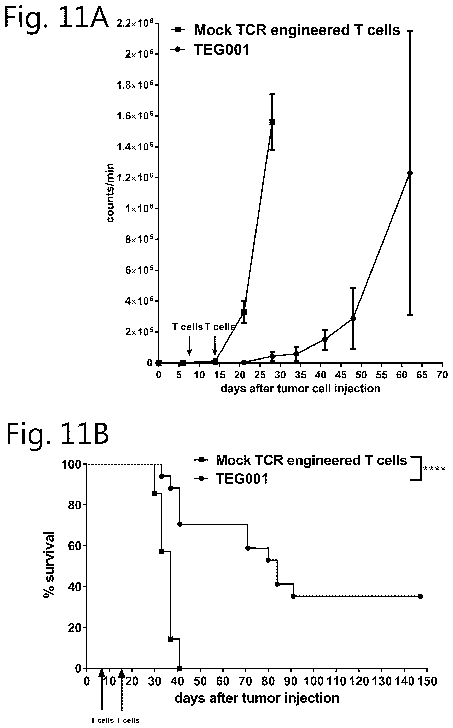 Patent US12297274 Figure 15 – Method of cell therapy