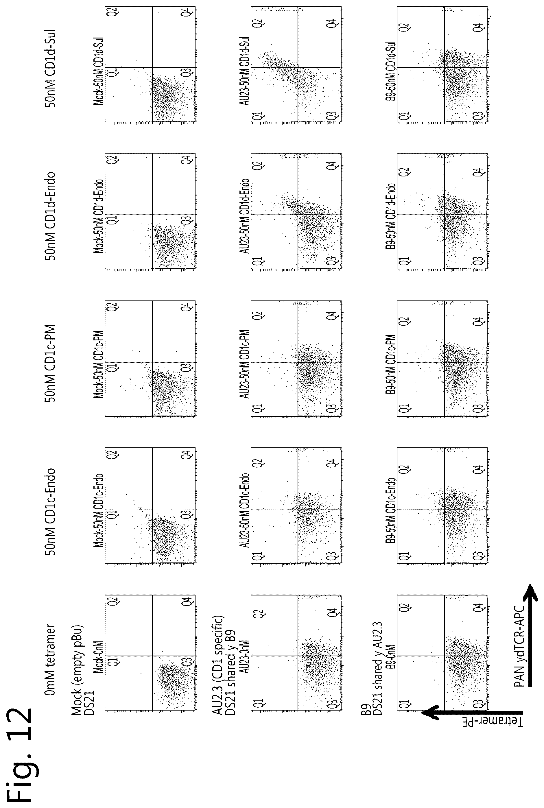 Patent US12297274 Figure 16 – Method of cell therapy
